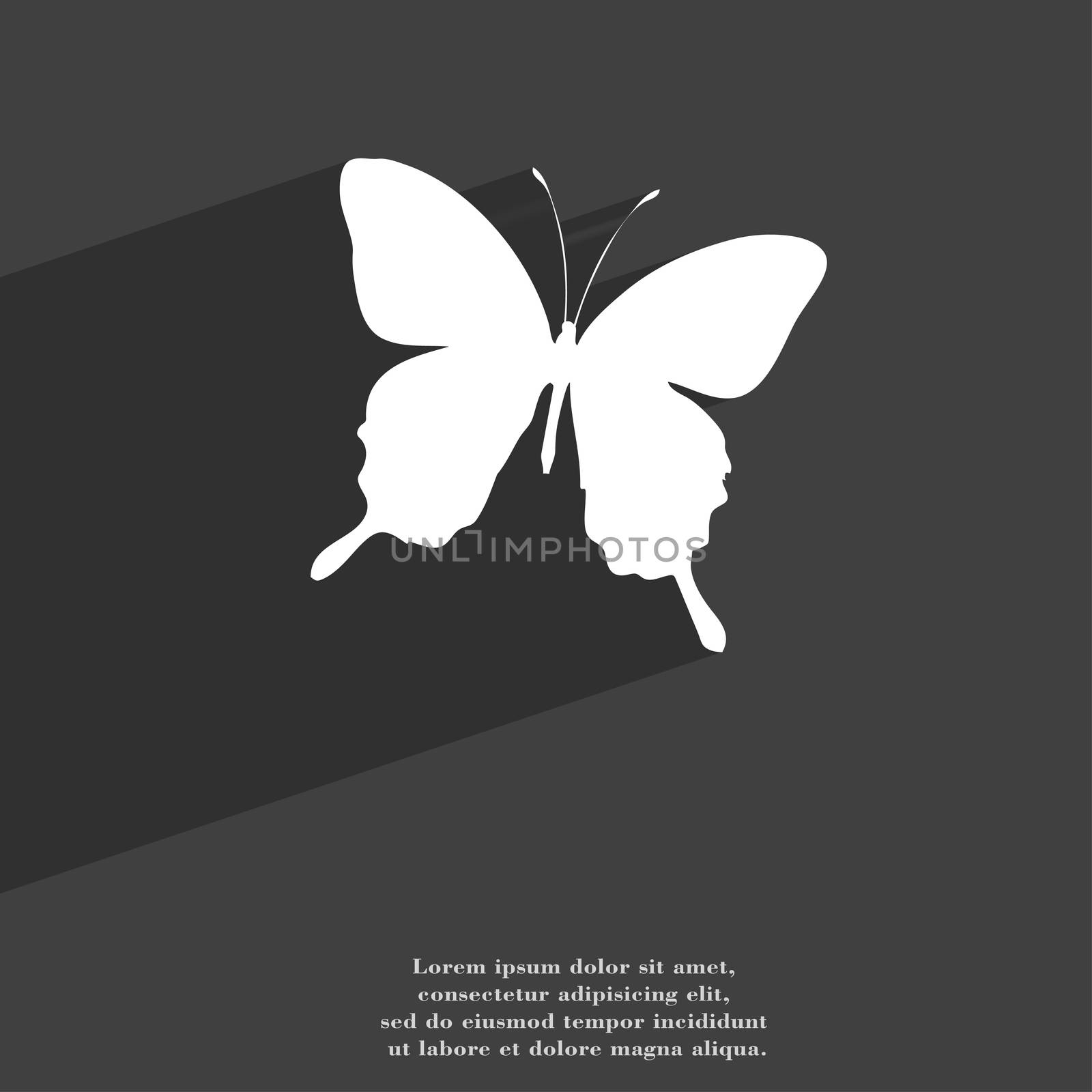 butterfly icon symbol Flat modern web design with long shadow and space for your text. illustration
