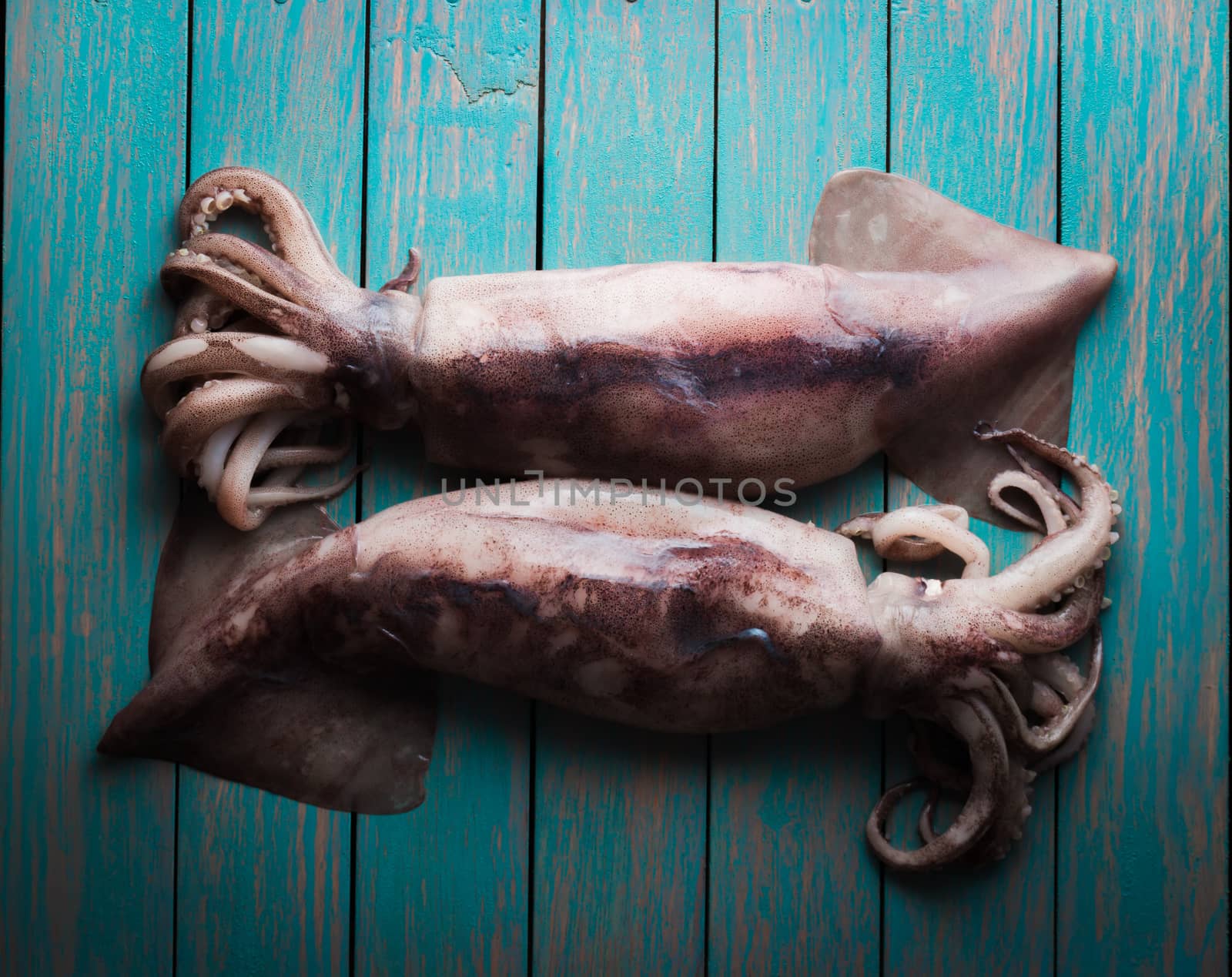 raw squid on wooden table close-up