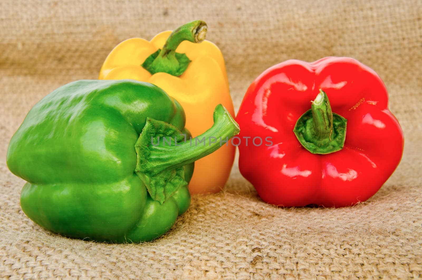 three bell peppers isolated on sack