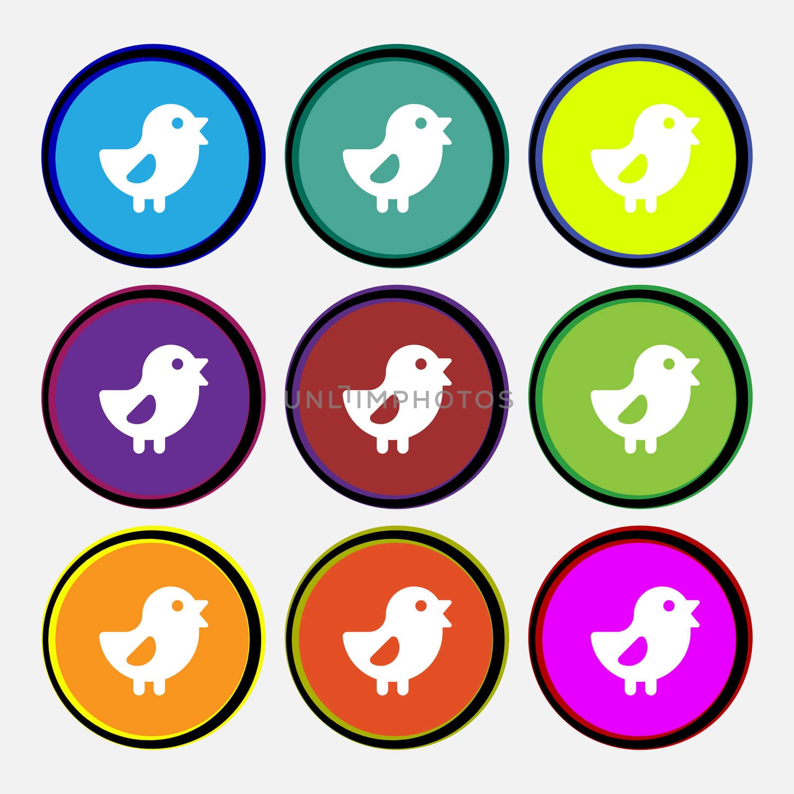 chicken, Bird icon sign. Nine multi colored round buttons.  by serhii_lohvyniuk