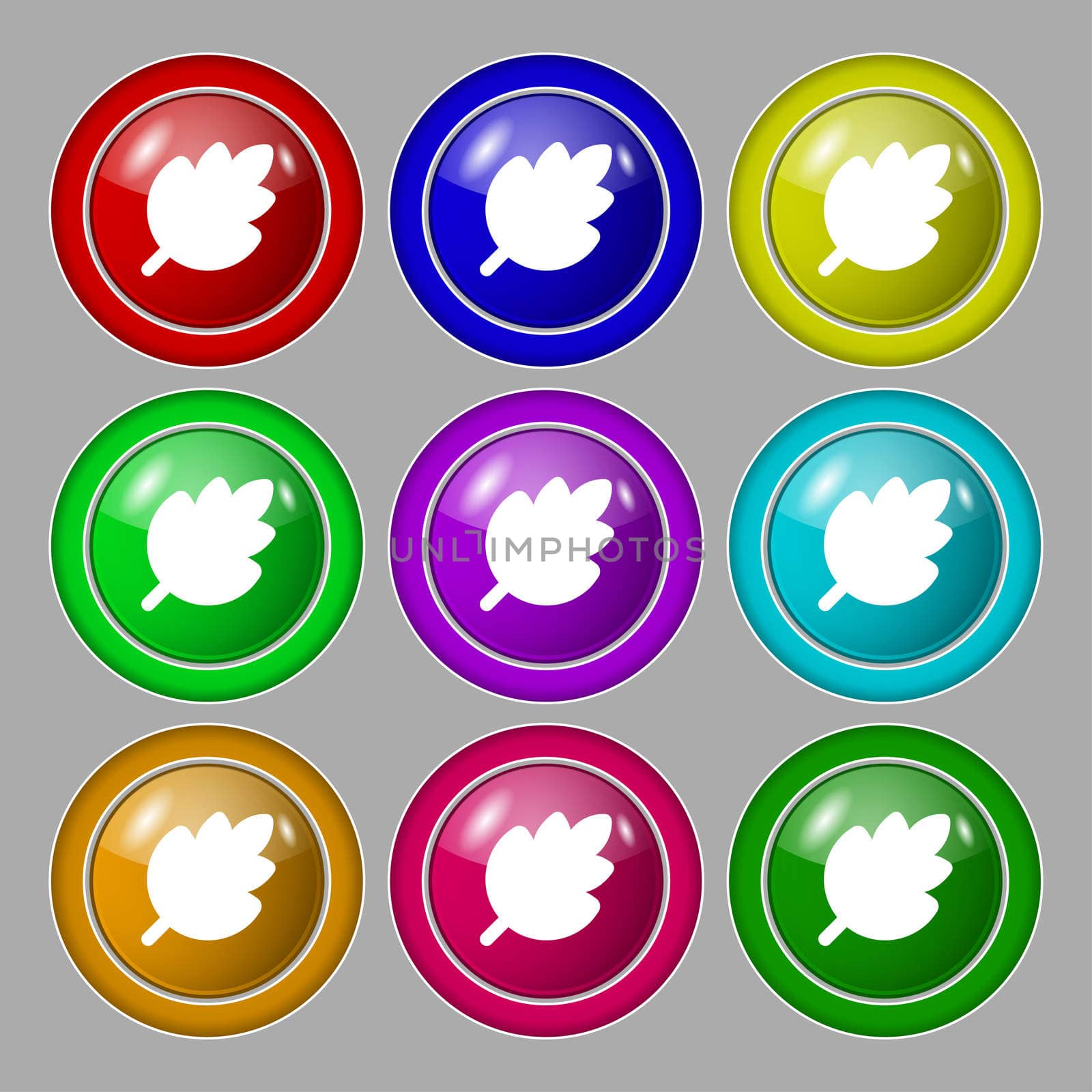 Leaf, Fresh natural product icon sign. symbol on nine round colourful buttons. illustration