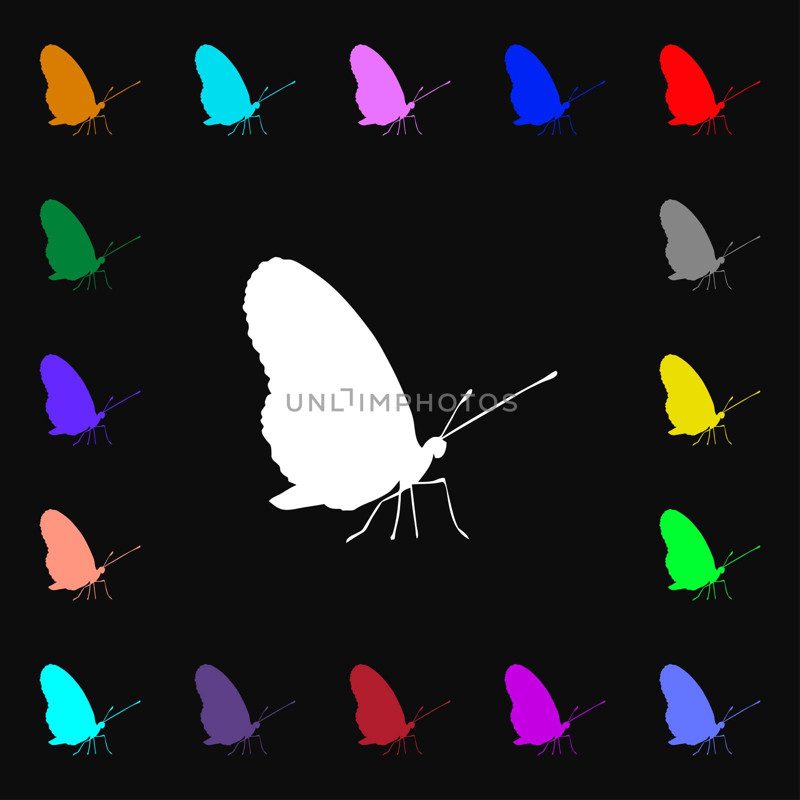 butterfly iconi sign. Lots of colorful symbols for your design.  by serhii_lohvyniuk