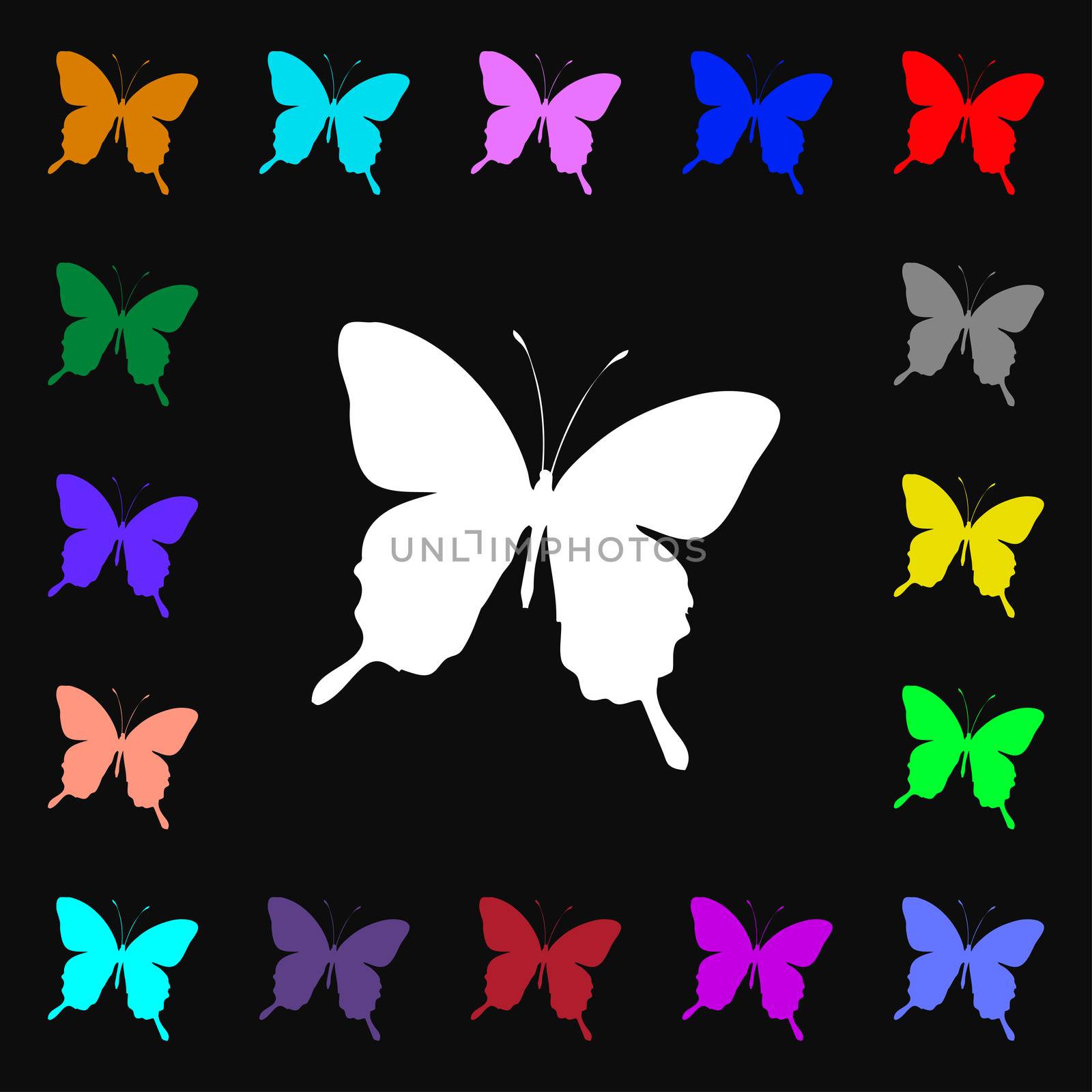 butterfly iconi sign. Lots of colorful symbols for your design.  by serhii_lohvyniuk