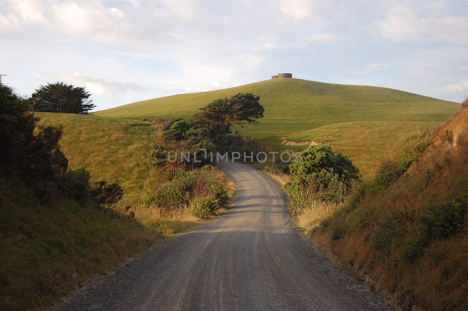 Gravel road at rural area New Zealand by danemo