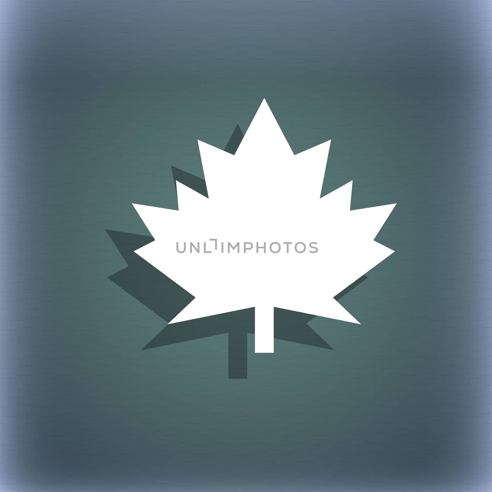 Maple leaf icon. On the blue-green abstract background with shadow and space for your text.  by serhii_lohvyniuk