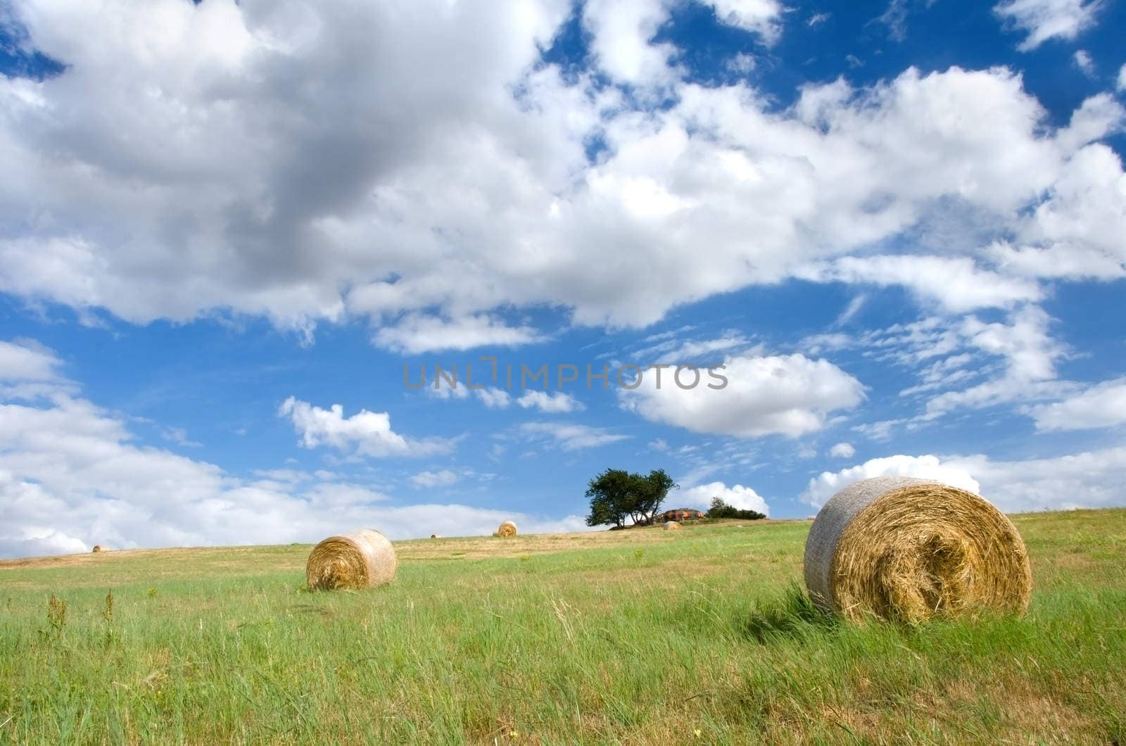 Cut meadow with straw bales in summer.