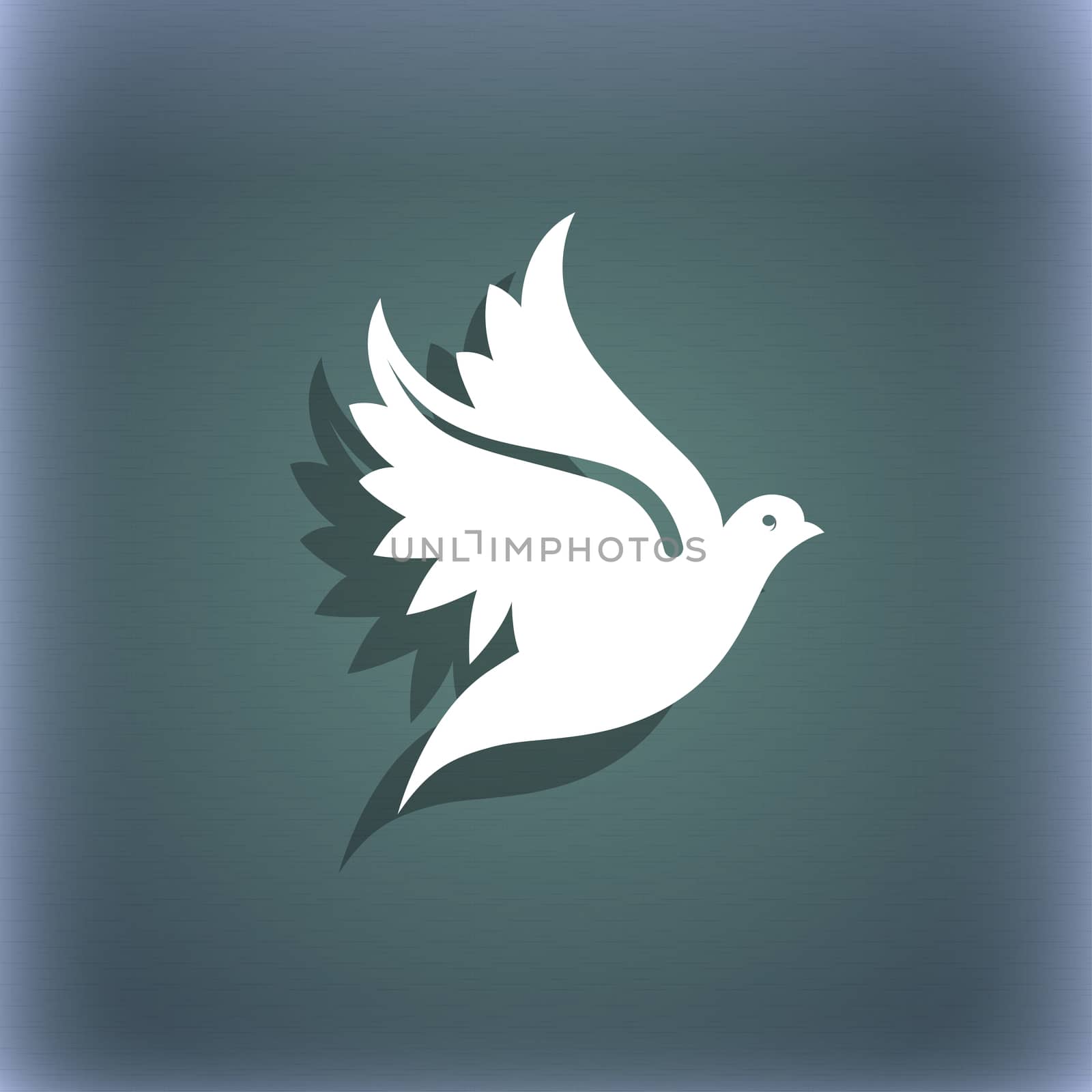 Dove icon symbol on the blue-green abstract background with shadow and space for your text. illustration