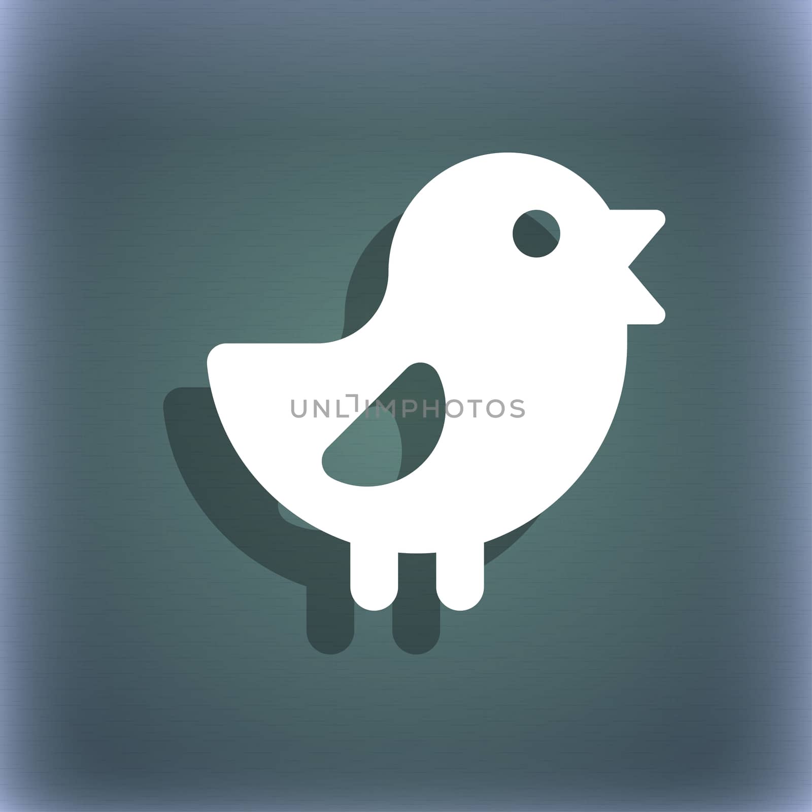 chicken, Bird icon symbol on the blue-green abstract background with shadow and space for your text. illustration