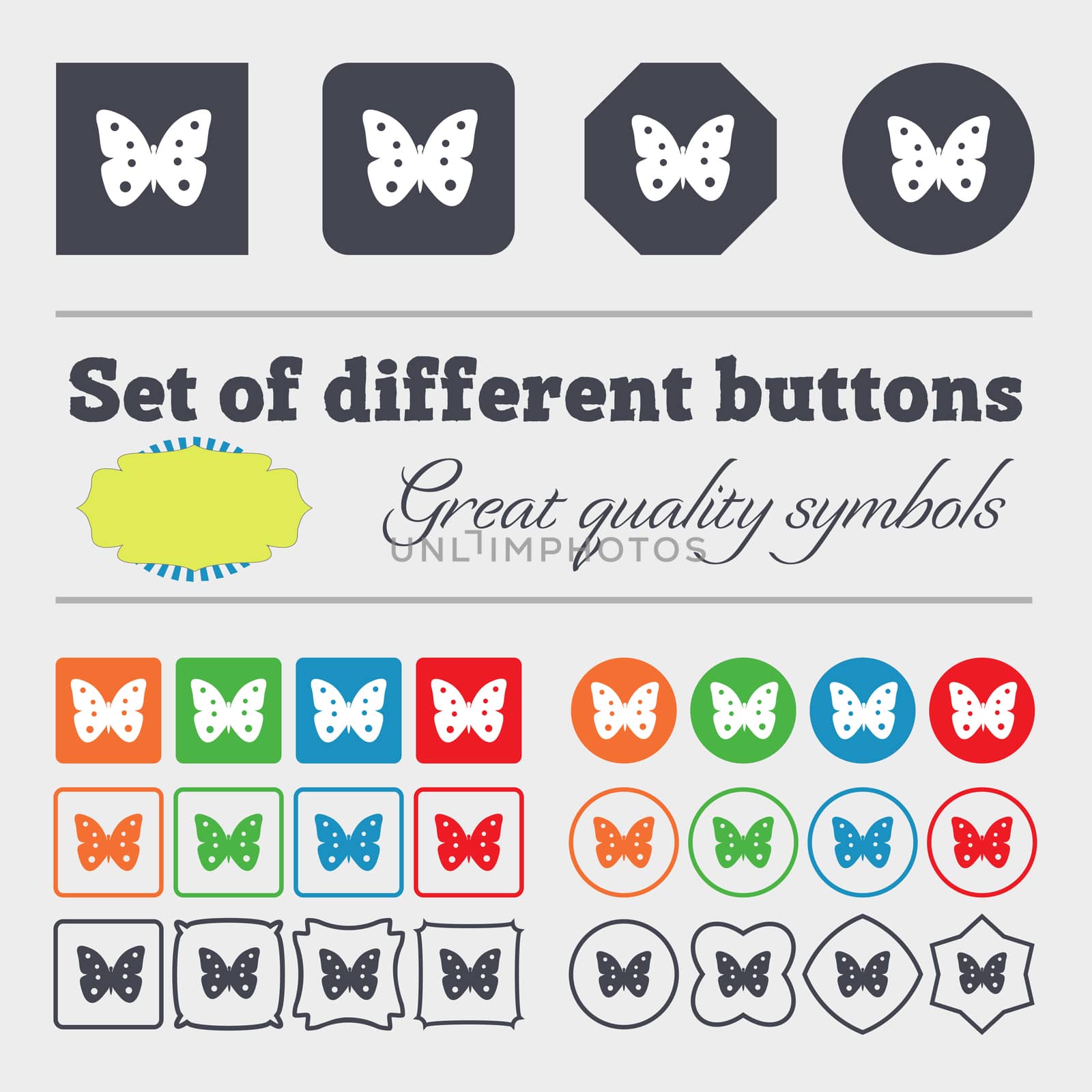 Butterfly sign icon. insect symbol. Big set of colorful, diverse, high-quality buttons. illustration