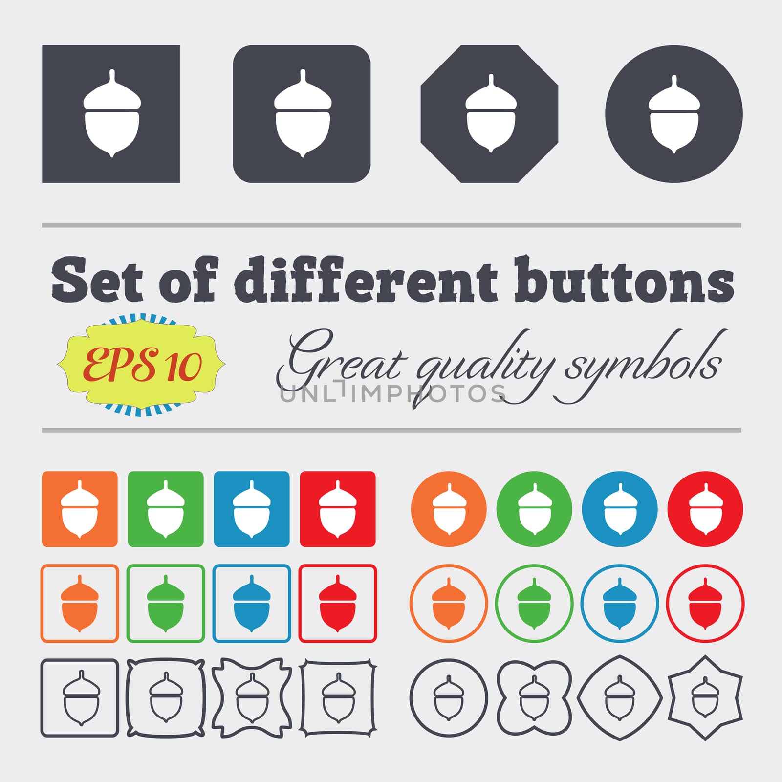 Acorn icon sign. Big set of colorful, diverse, high-quality buttons.  by serhii_lohvyniuk