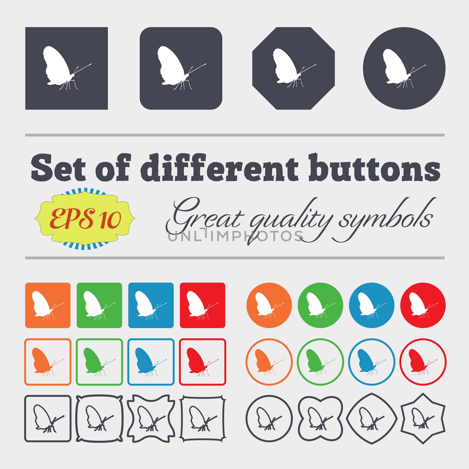 butterfly icon sign. Big set of colorful, diverse, high-quality buttons. illustration