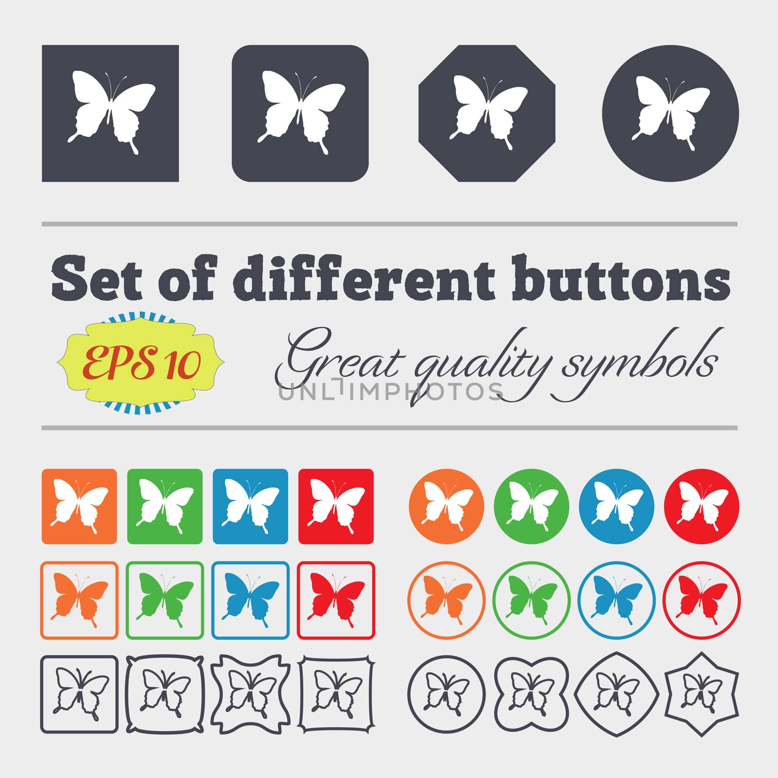 butterfly icon sign. Big set of colorful, diverse, high-quality buttons. illustration