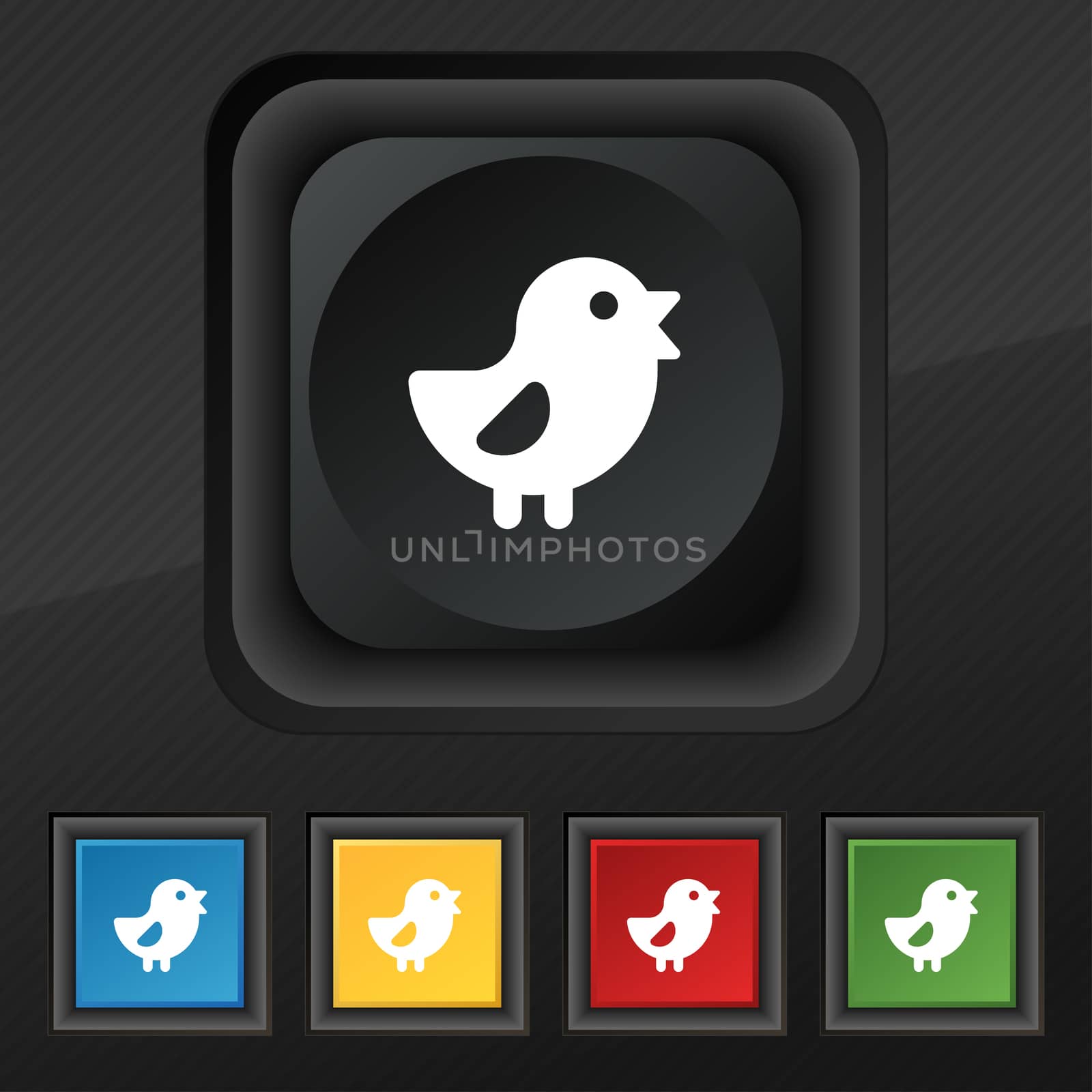 chicken, Bird icon symbol. Set of five colorful, stylish buttons on black texture for your design.  by serhii_lohvyniuk