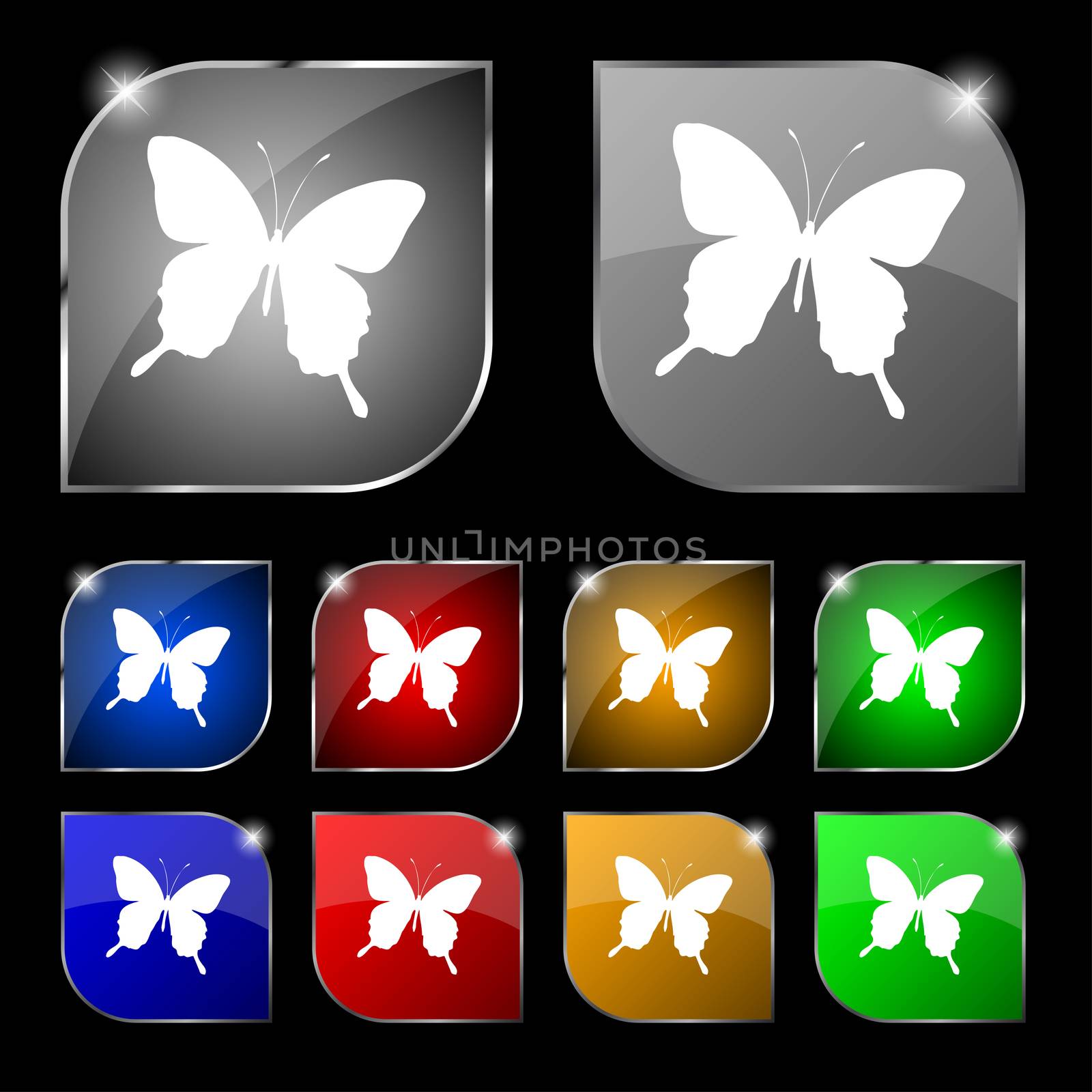 butterfly icon sign. Set of ten colorful buttons with glare. illustration