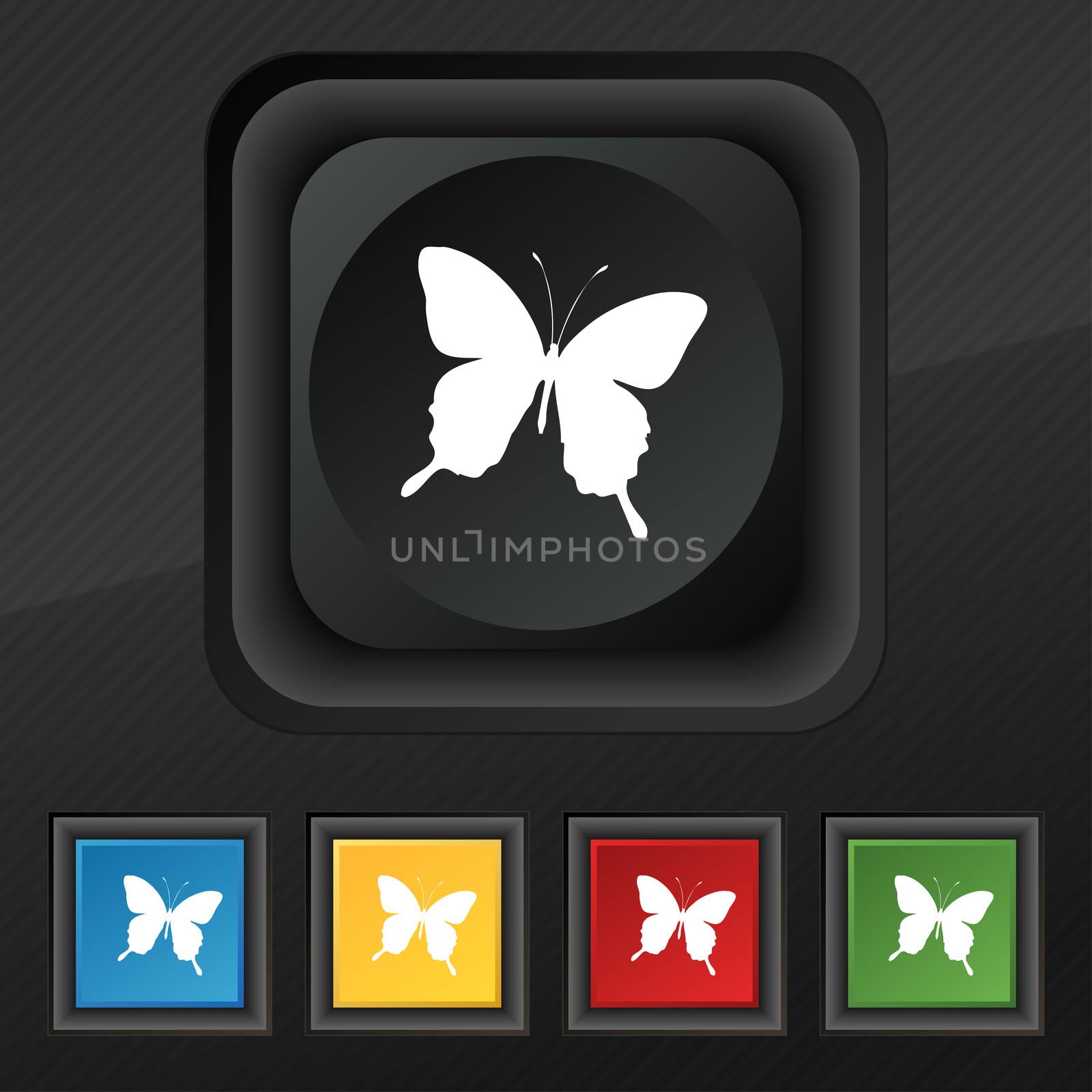 butterfly icon symbol. Set of five colorful, stylish buttons on black texture for your design.  by serhii_lohvyniuk