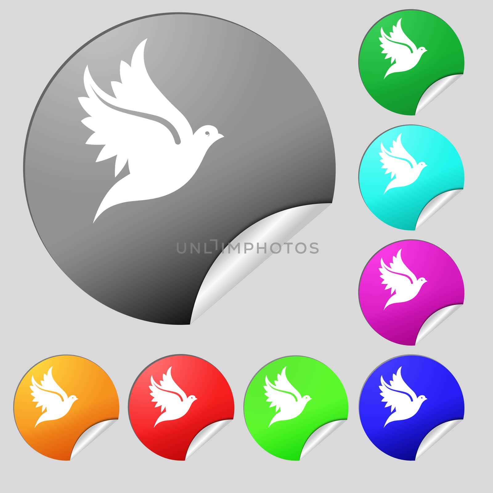 Dove icon sign. Set of eight multi colored round buttons, stickers. illustration