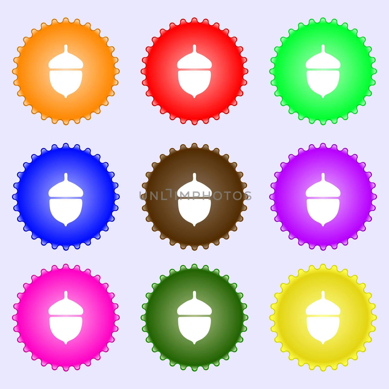 Acorn icon sign. A set of nine different colored labels. illustration