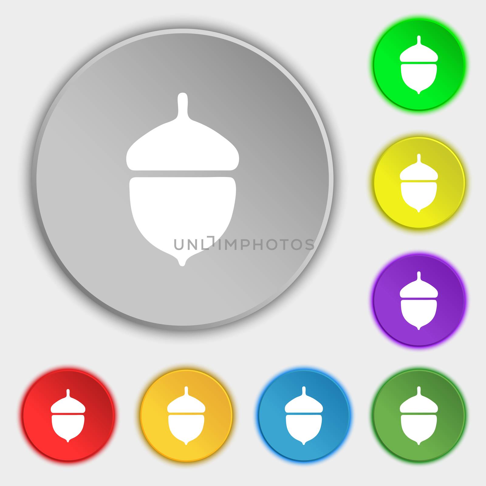 Acorn icon sign. Symbol on five flat buttons. illustration