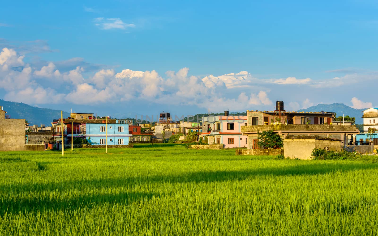 Rice fields, colourful houses and the mountains in the background, Pokhara, Nepal