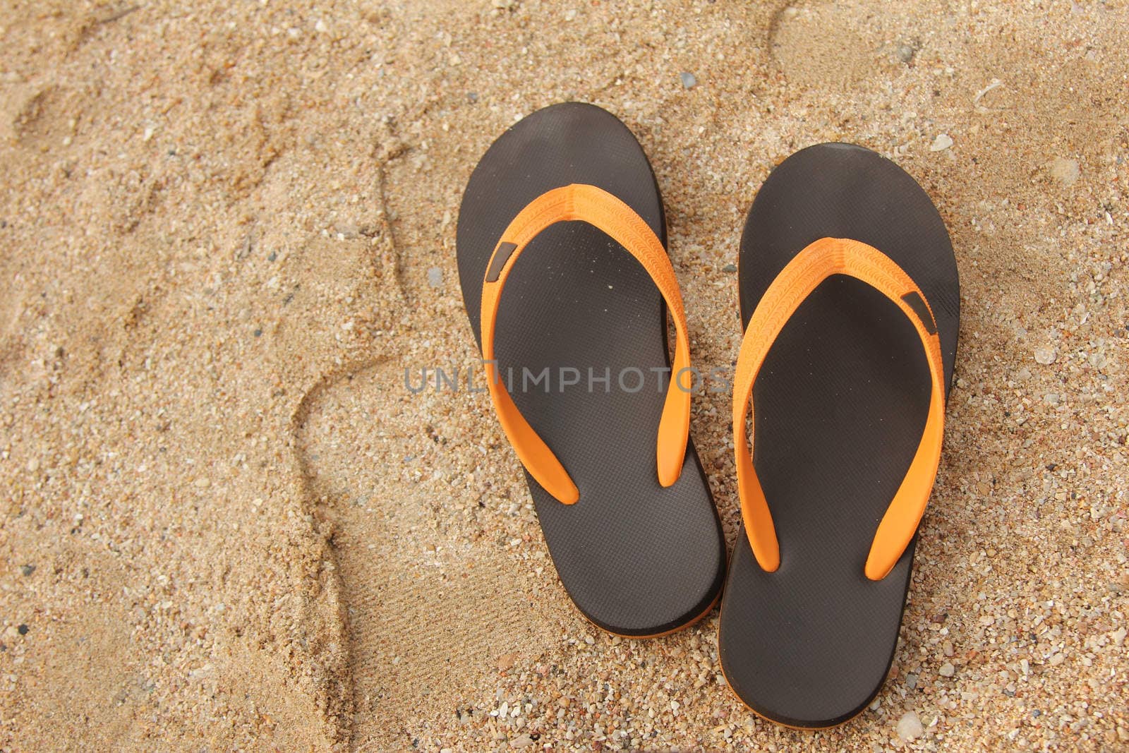 Flip flop shoes on the tropical beach