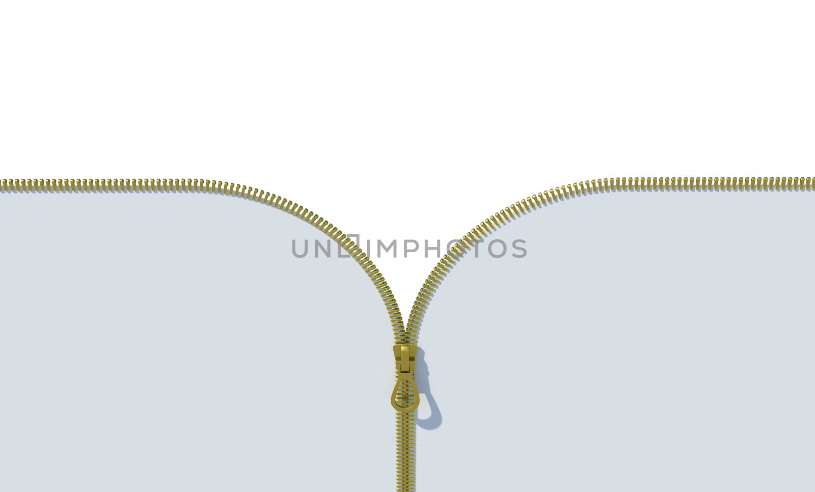 Golden zipper on white by cherezoff
