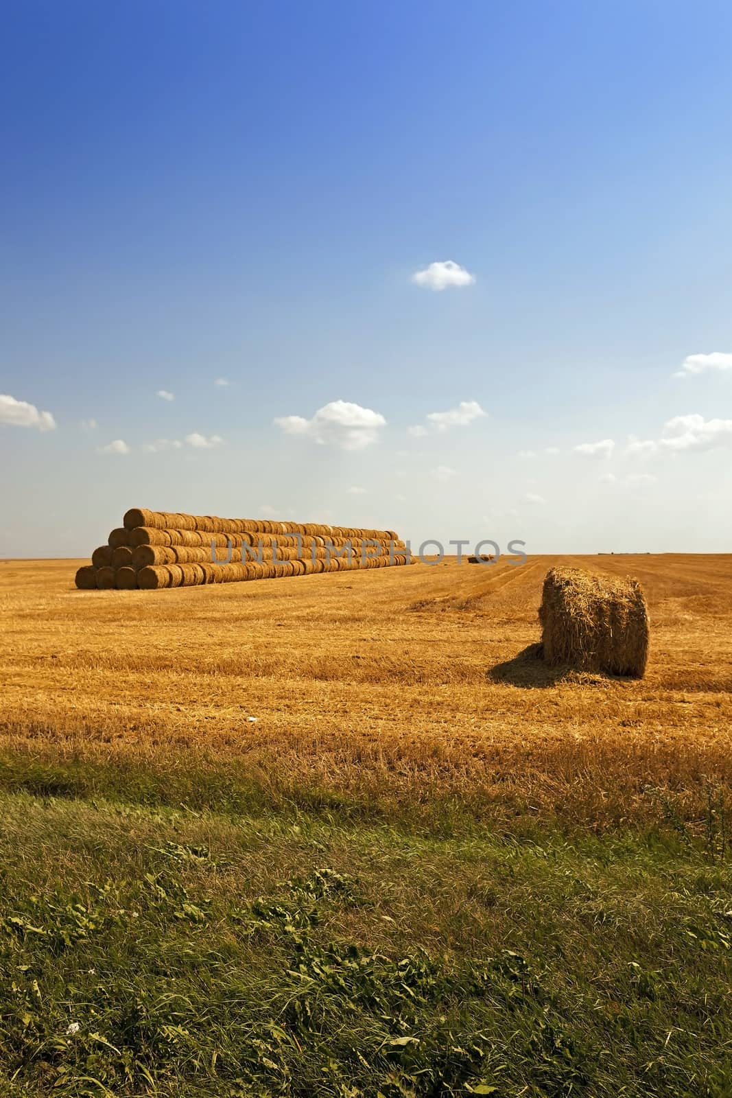   an agricultural field where harvested cereals and straw collected in a stack. summer