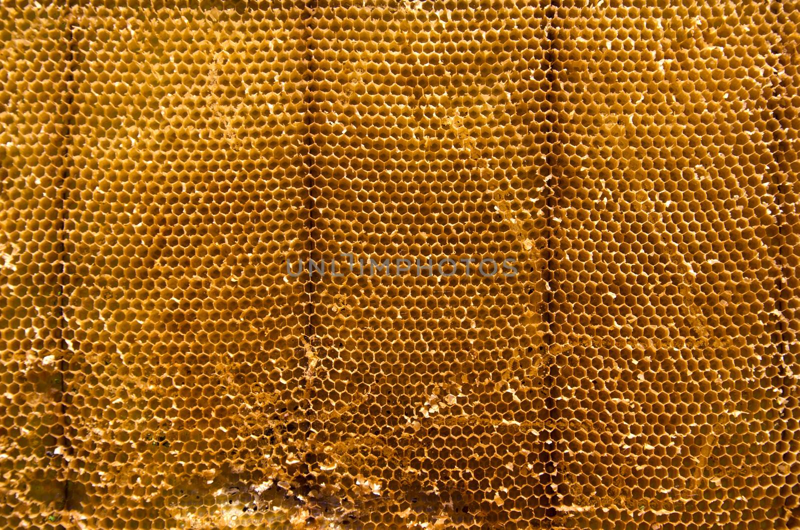 Closeup of beeswax background and texture