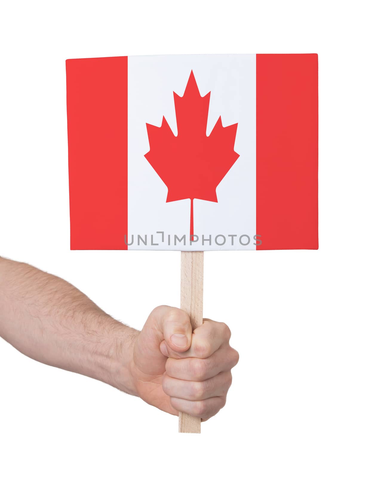 Hand holding small card, isolated on white - Flag of Canada