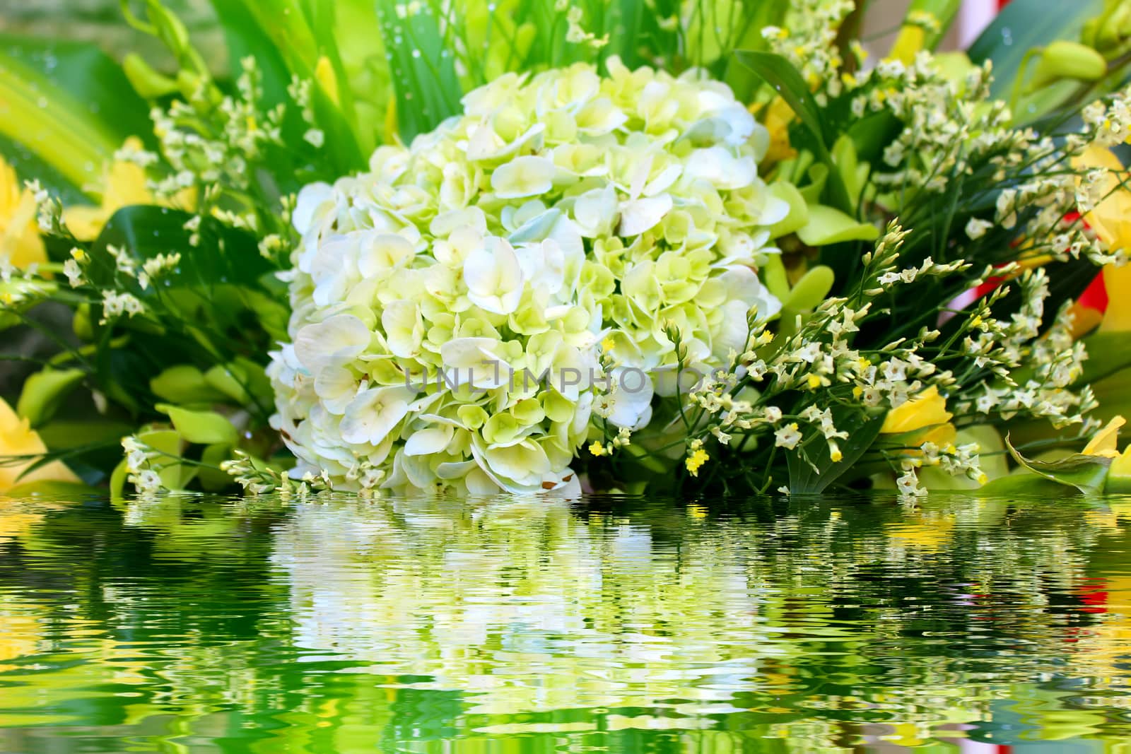 white flower
