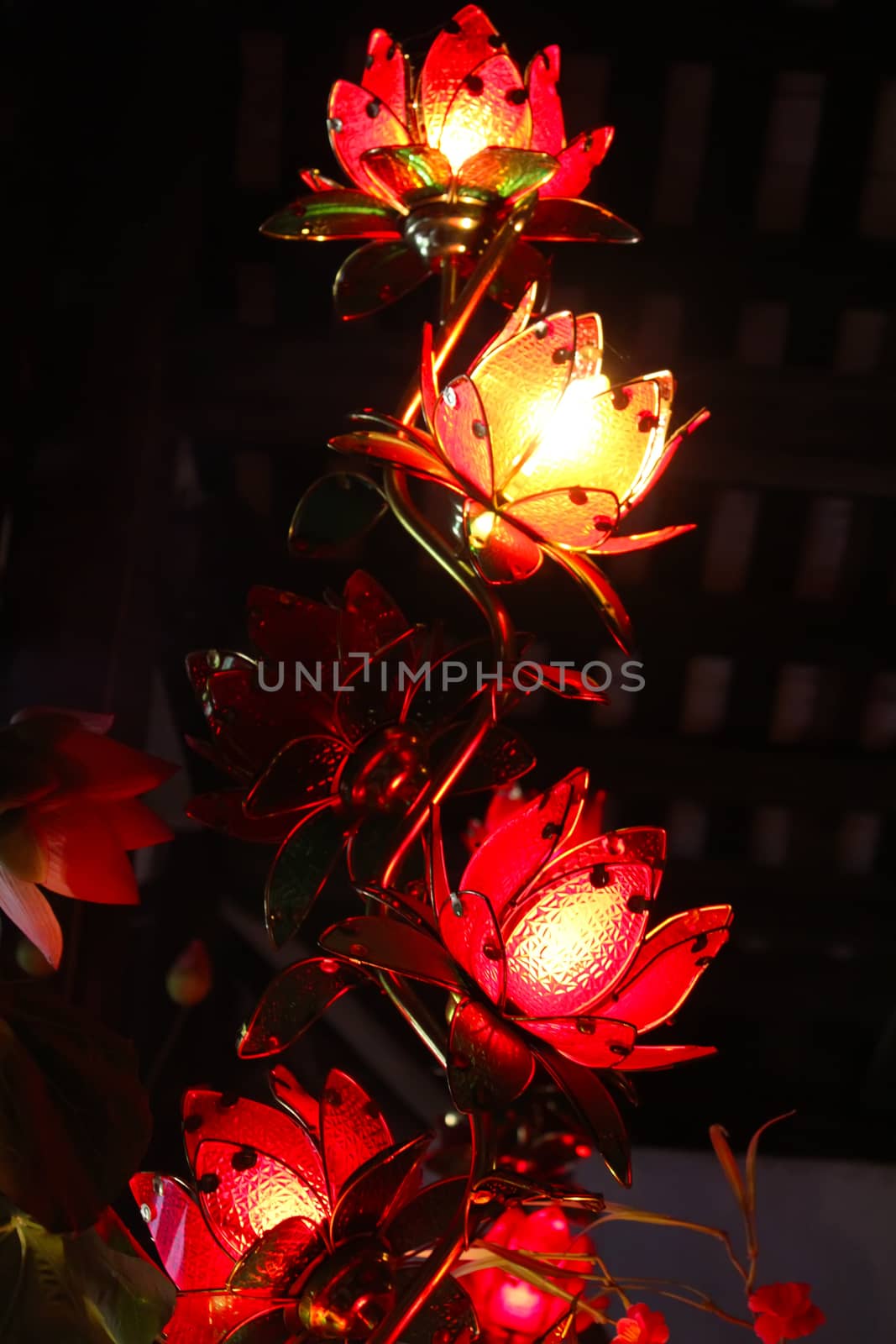 lotus lights