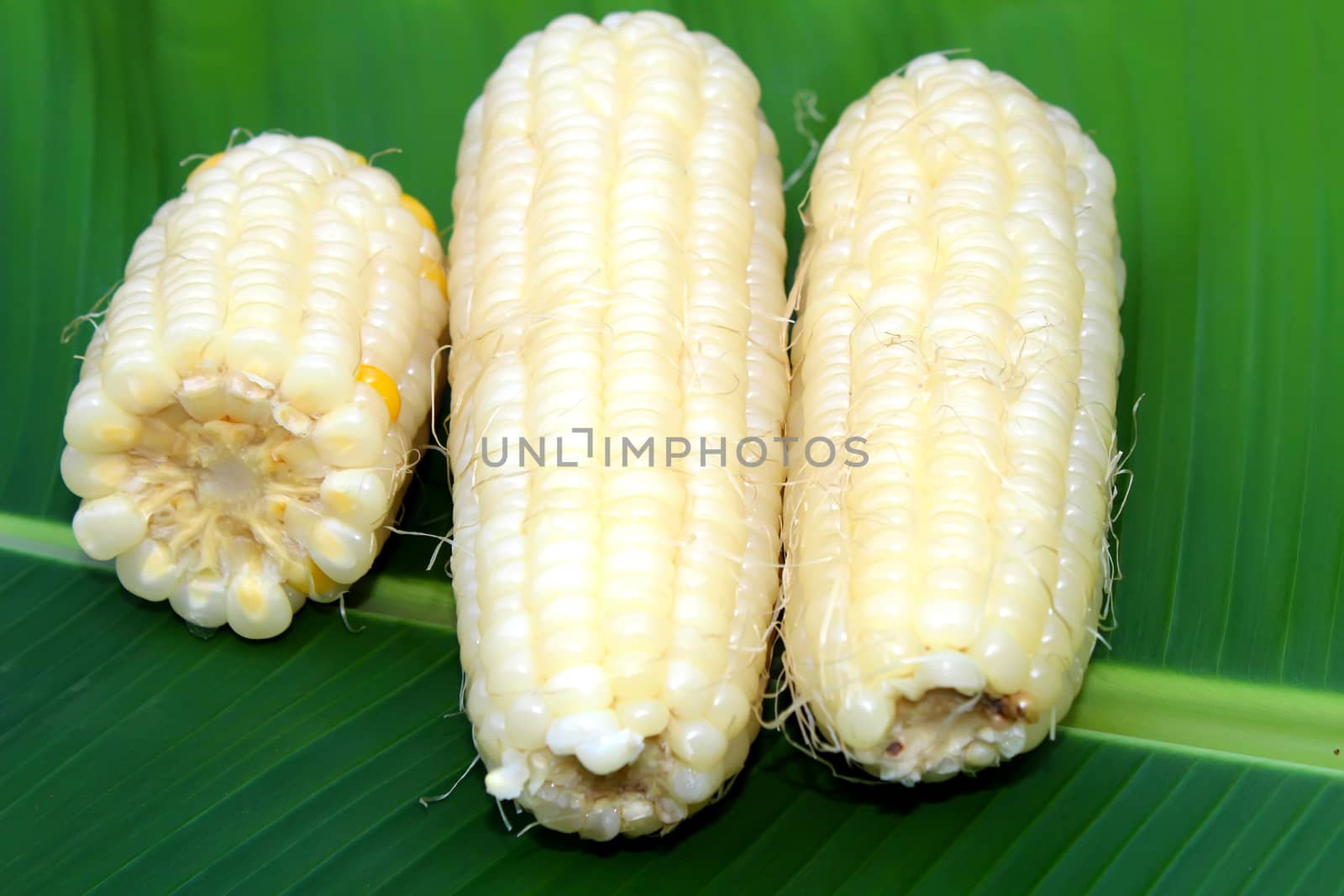 Corn