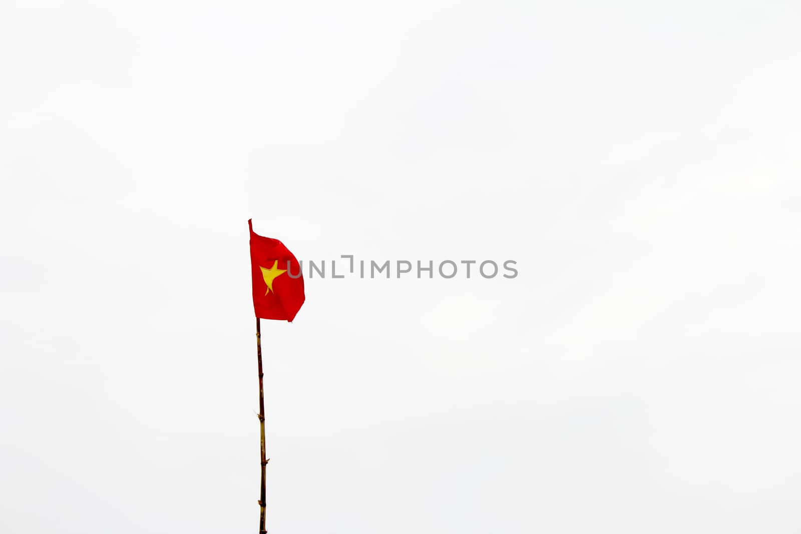 Vietnam flag