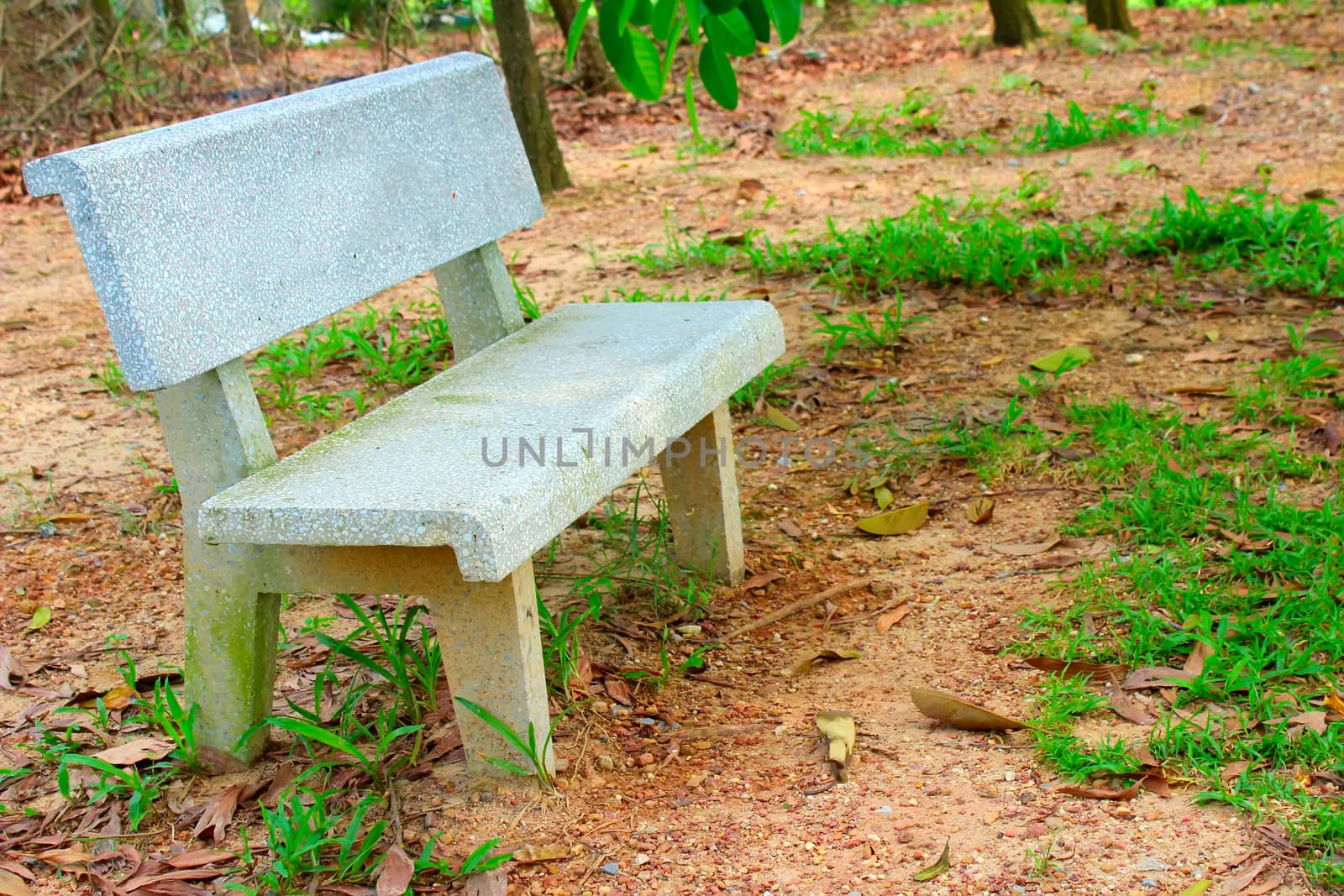 stone bench in the garden