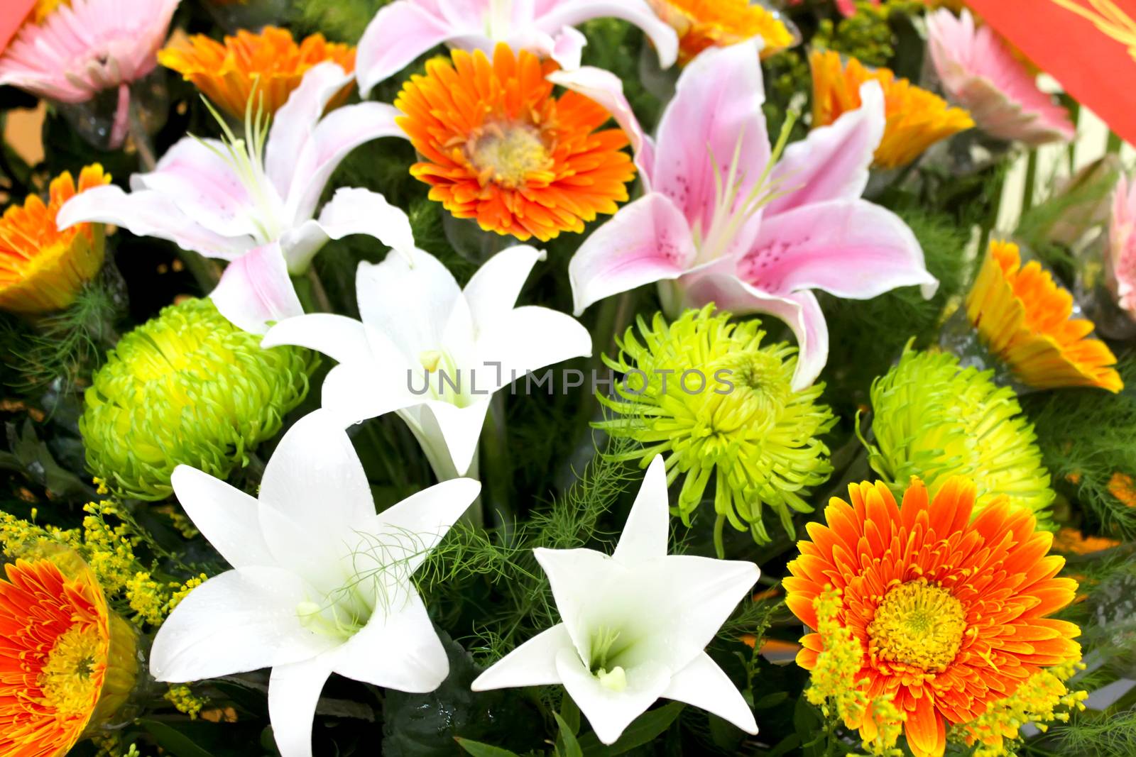 Flower