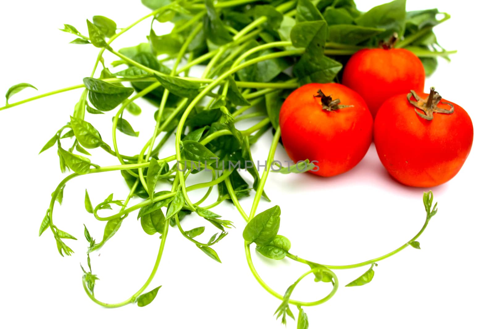 Vegetable and fruit