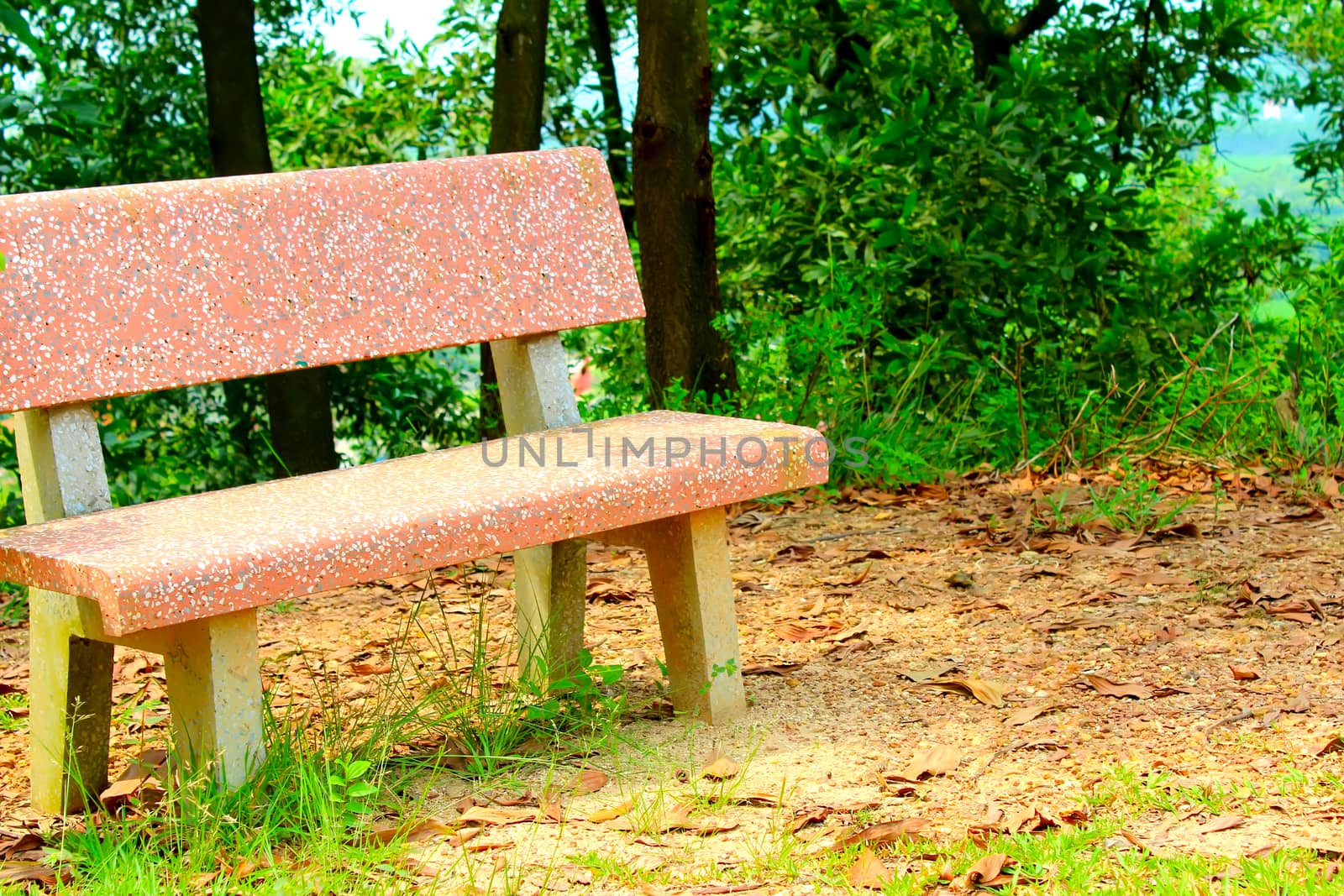 stone bench in the garden