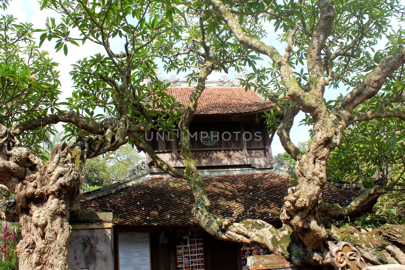 temple roof