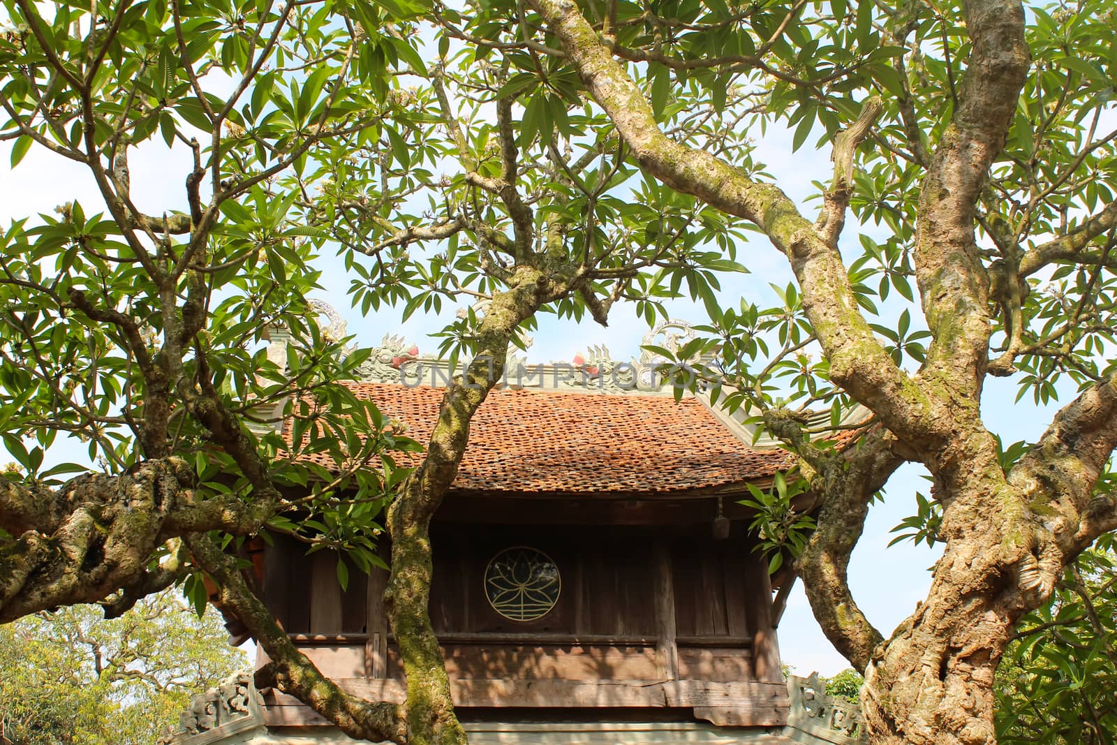 temple roof