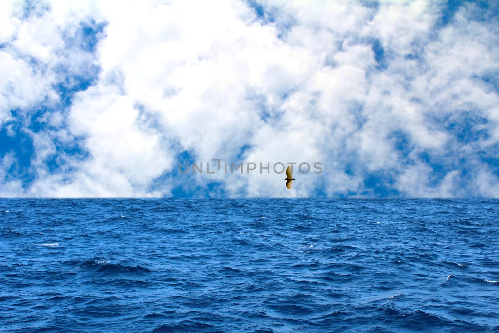 The sky and the sea