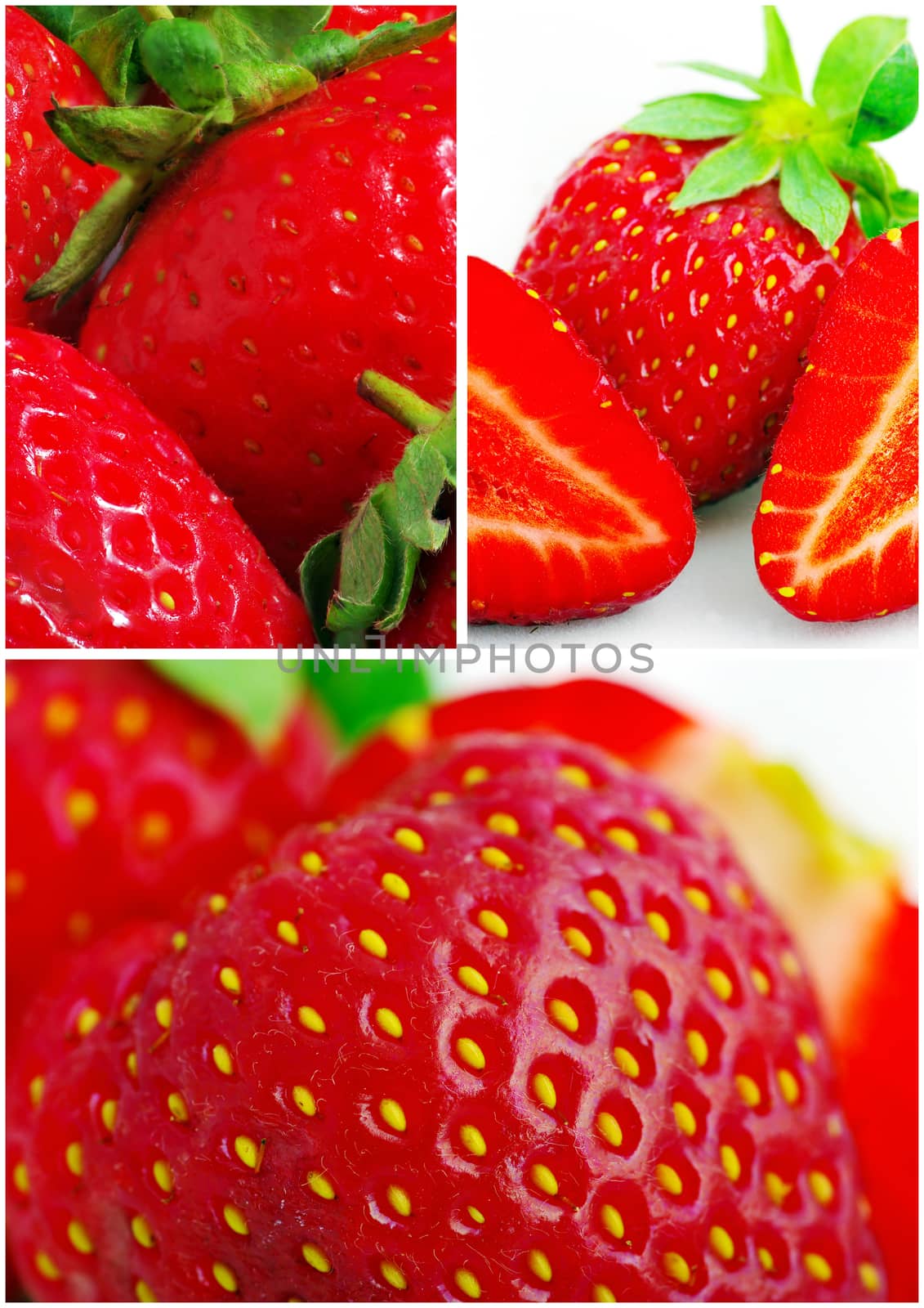 collage of fresh organic strawberries in the garden by dolnikow