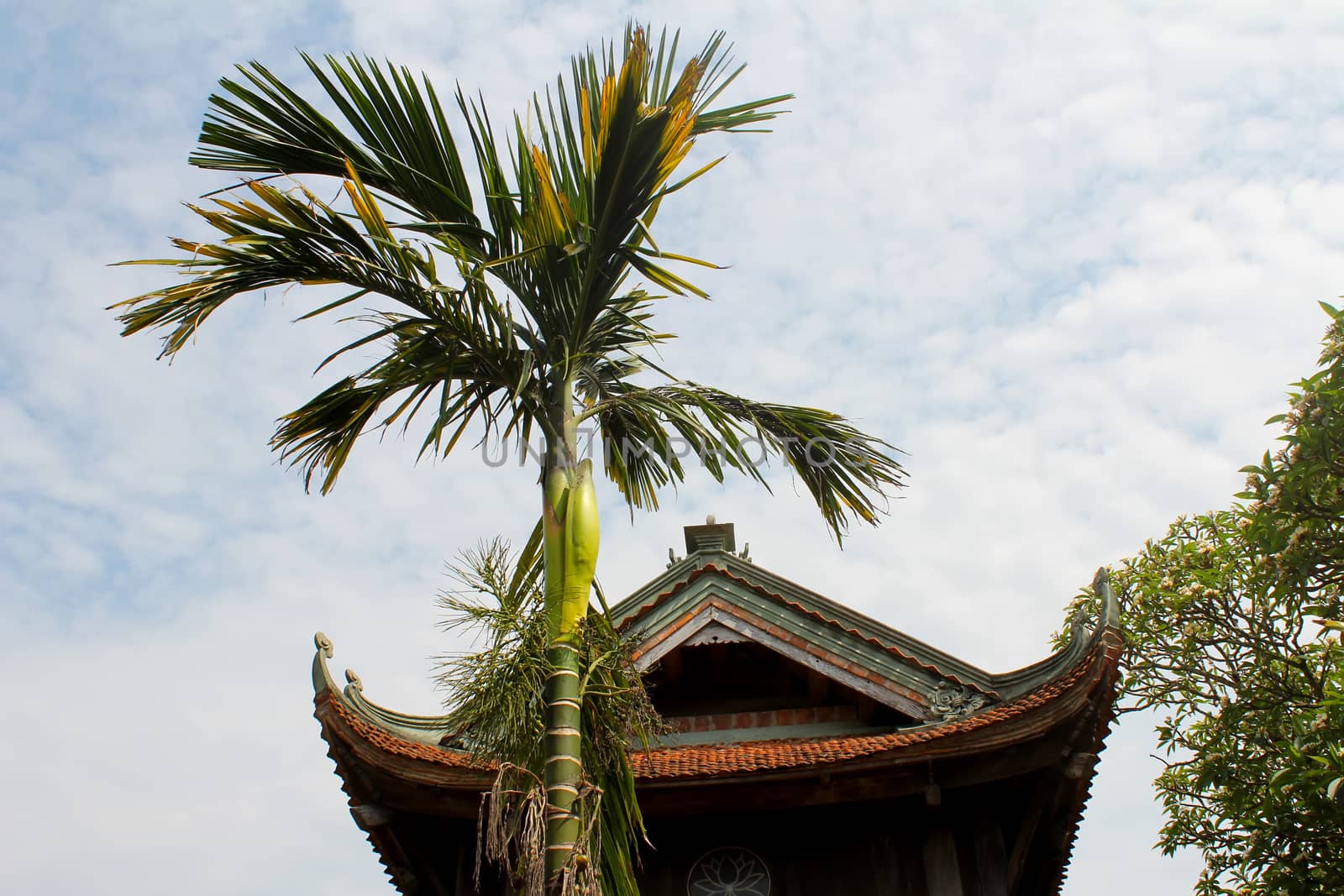 temple roof