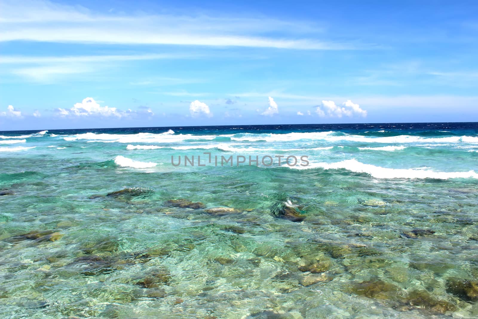 blue sea