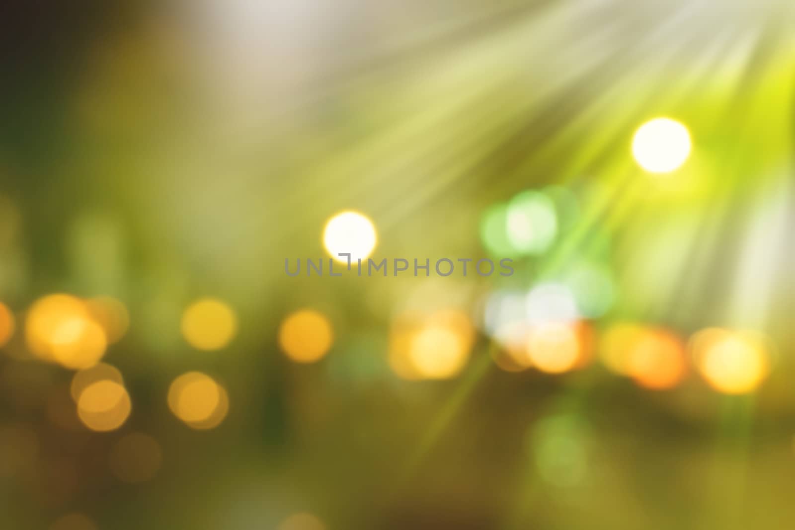 abstract natural blur background, defocused leaves, bokeh, nature background