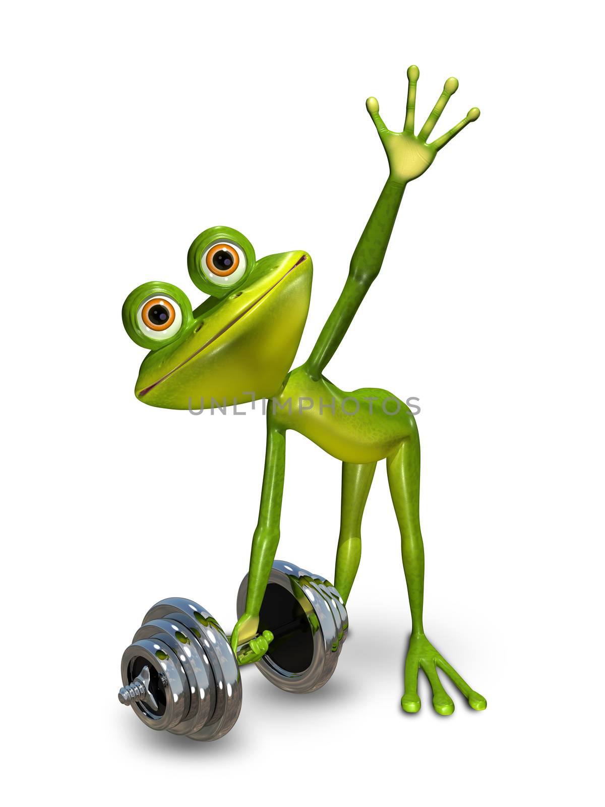 Illustration a frog doing gymnastics sport dumbbells