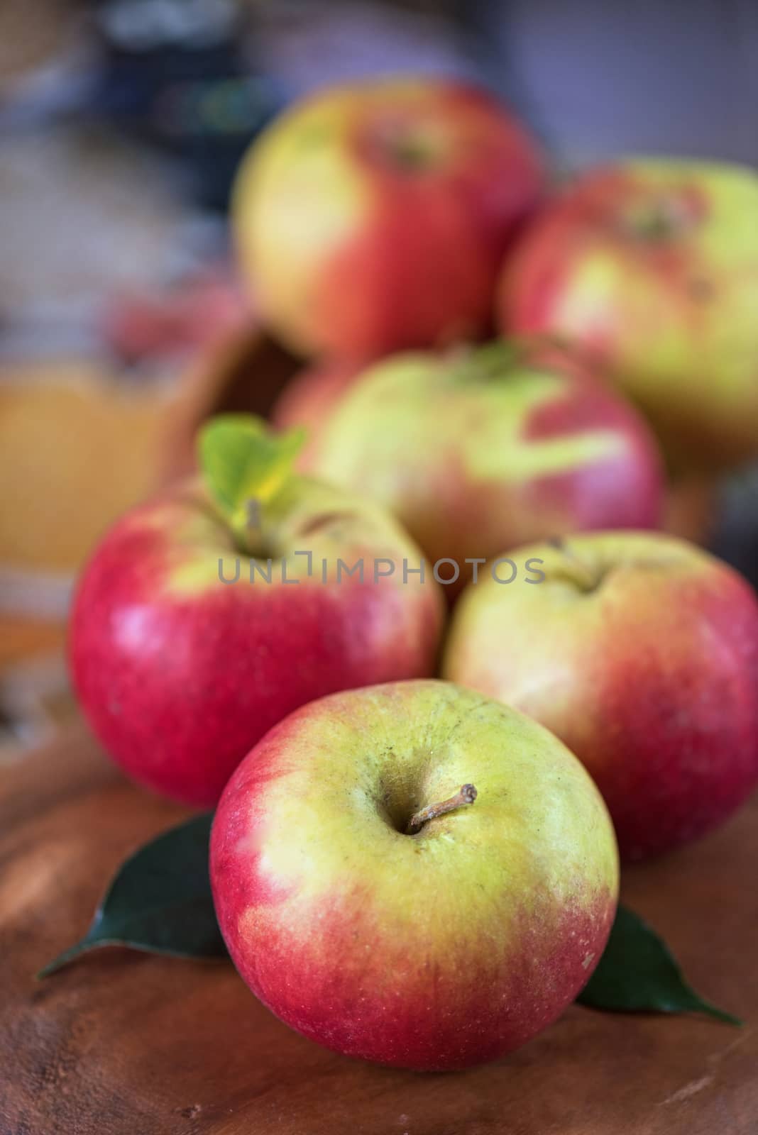Fresh harvest of ripe apples. Nature fruit concept.