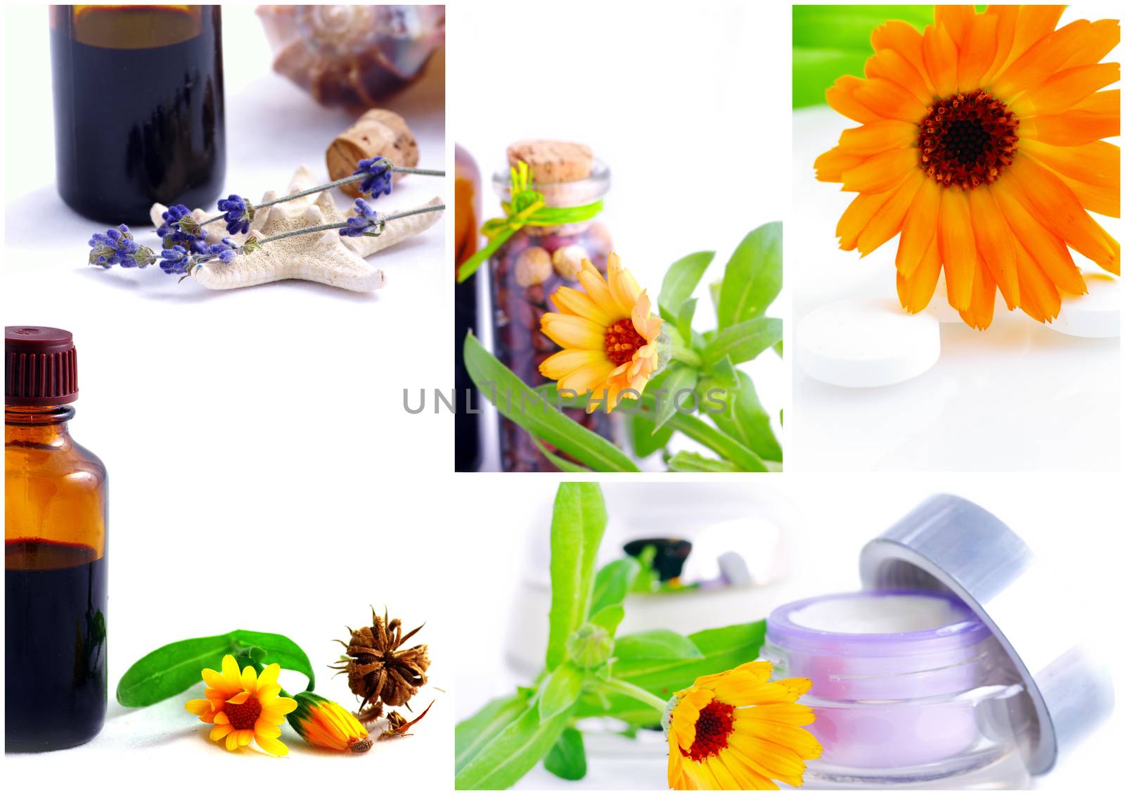 Various homeopathy related images in a collage by dolnikow