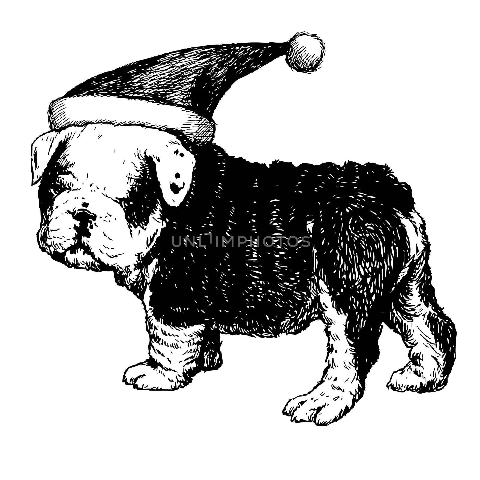 freehand sketch illustration of Bulldog dog with christmas santa hat, doodle hand drawn, christmas pet