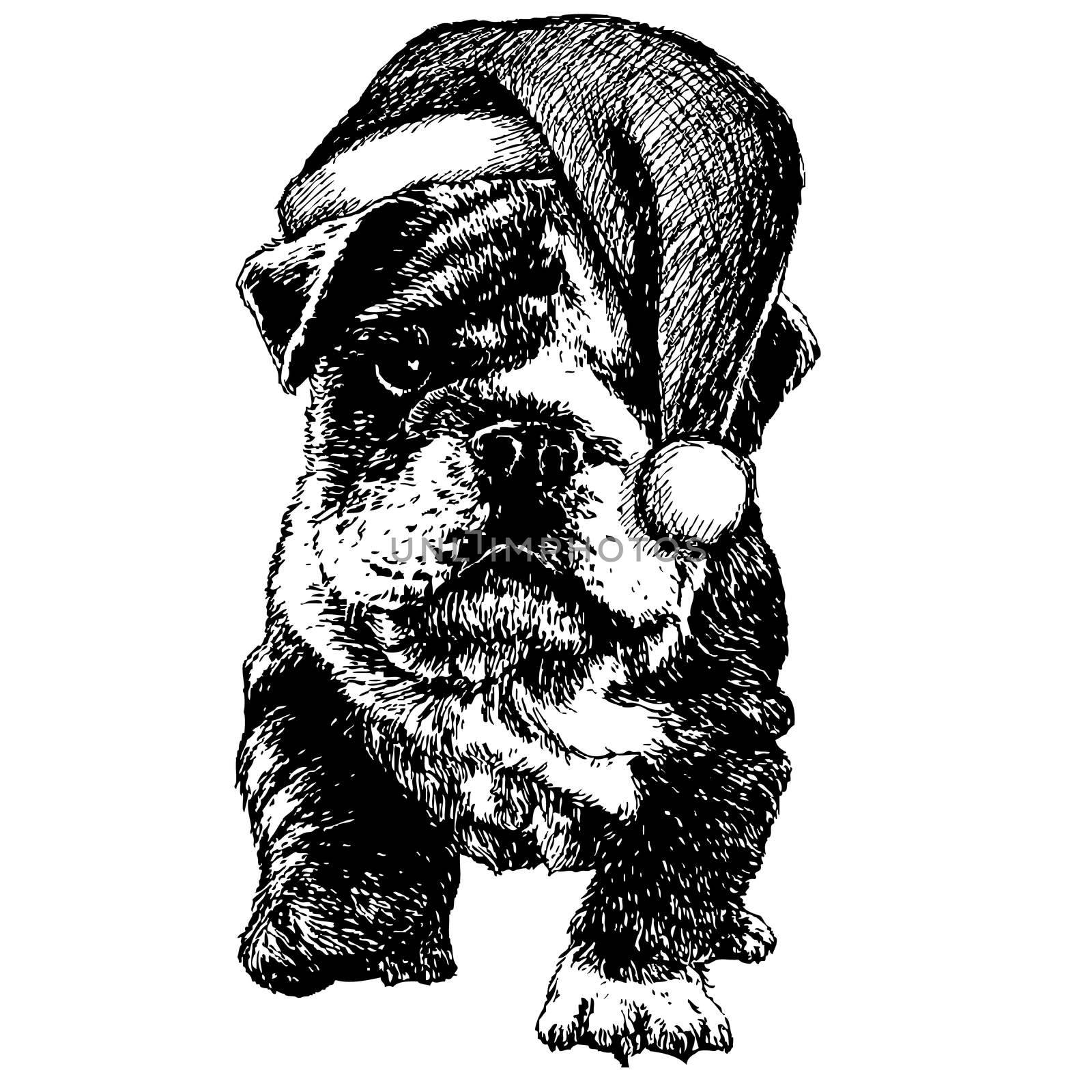 freehand sketch illustration of Bulldog dog with christmas santa hat, doodle hand drawn, christmas pet