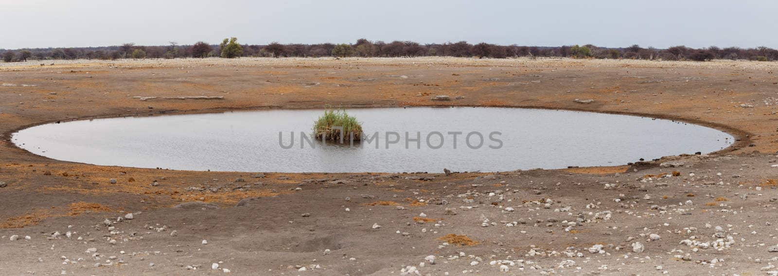 Empty waterhole in namibia game reserve, Etosha, national, Park, Ombika, Kunene, Namibia