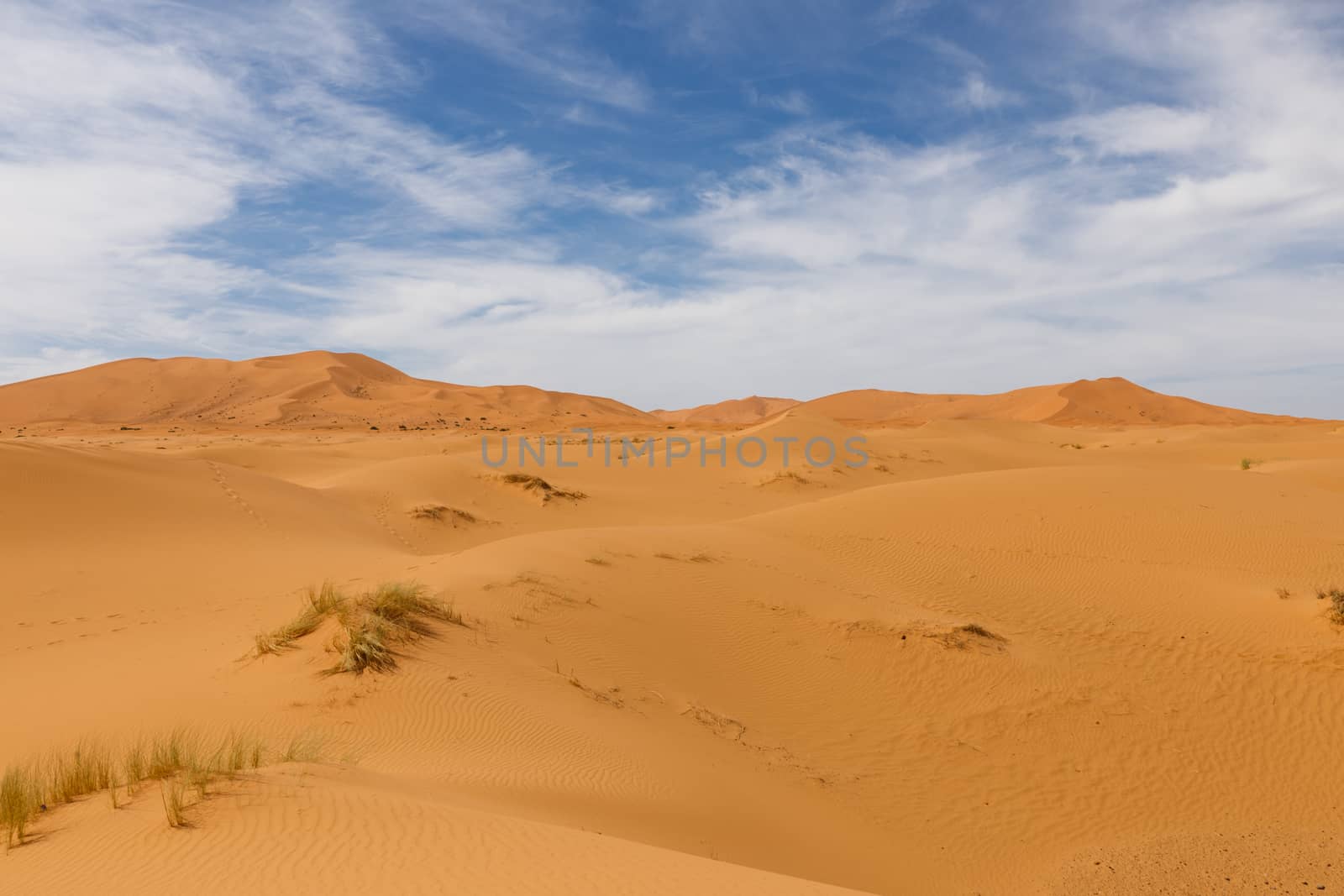 dune erg Chebbi in the blue sky, Morocco